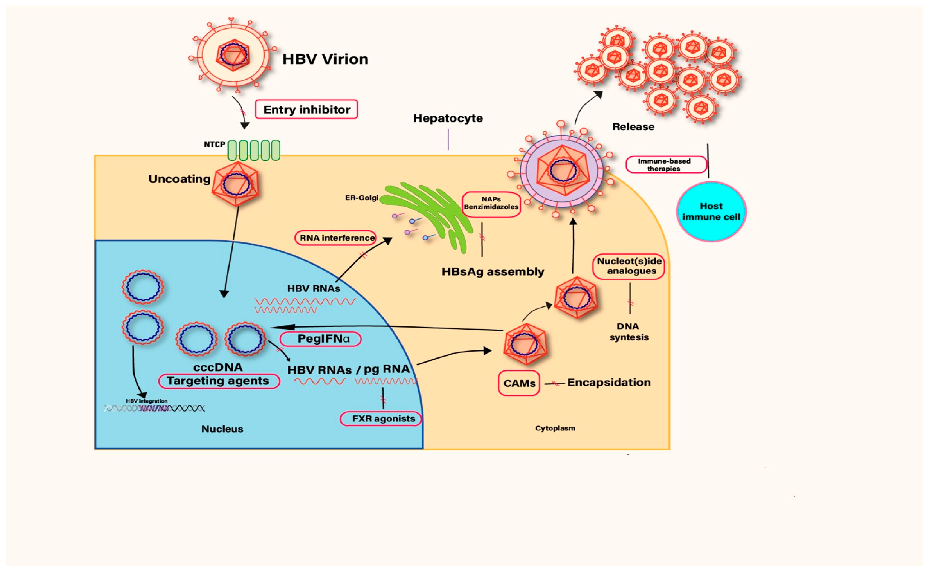 Diseases 13 00311 g001 Diseases 13 00311 g001