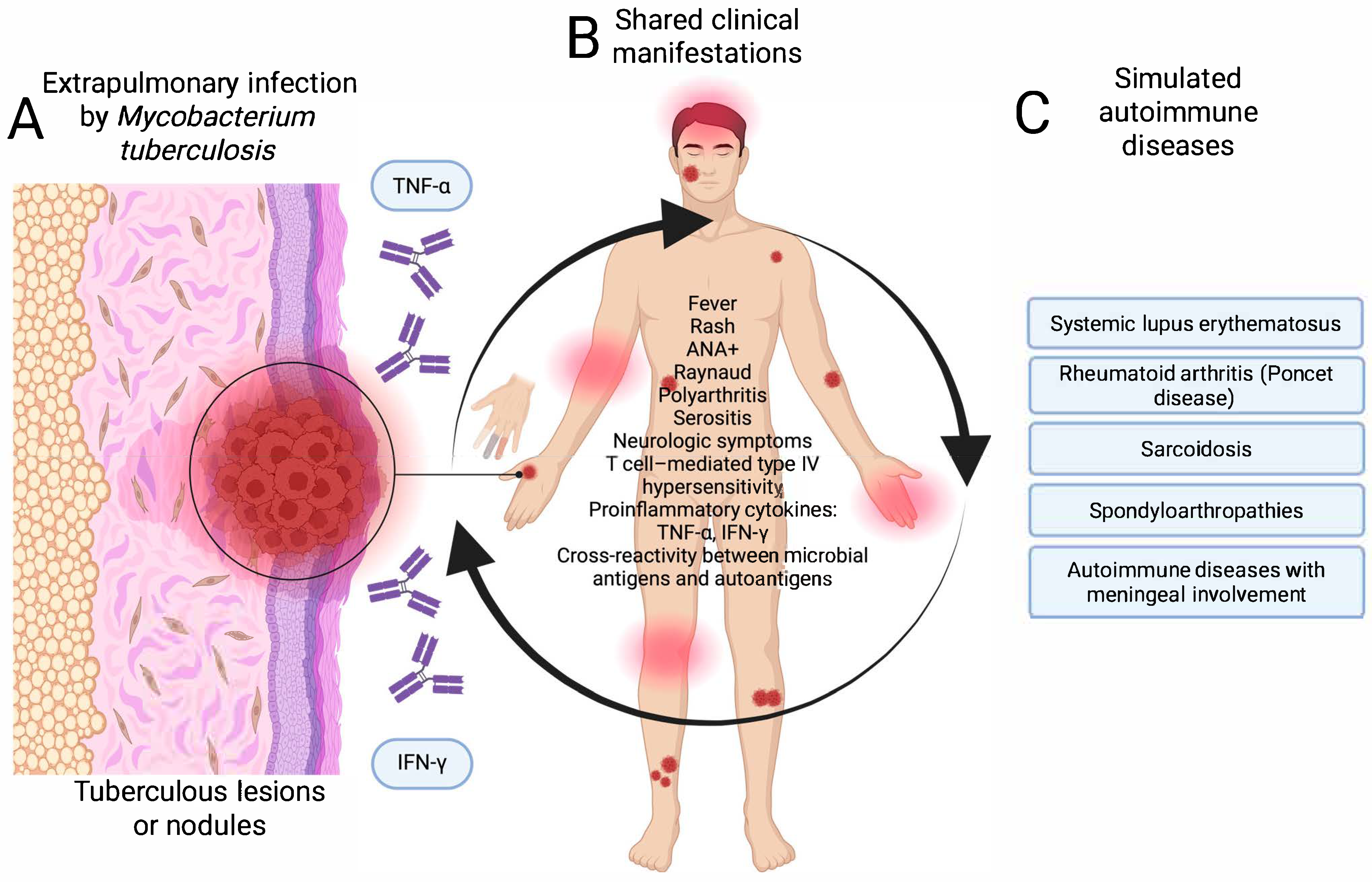 Diseases 13 00318 g003