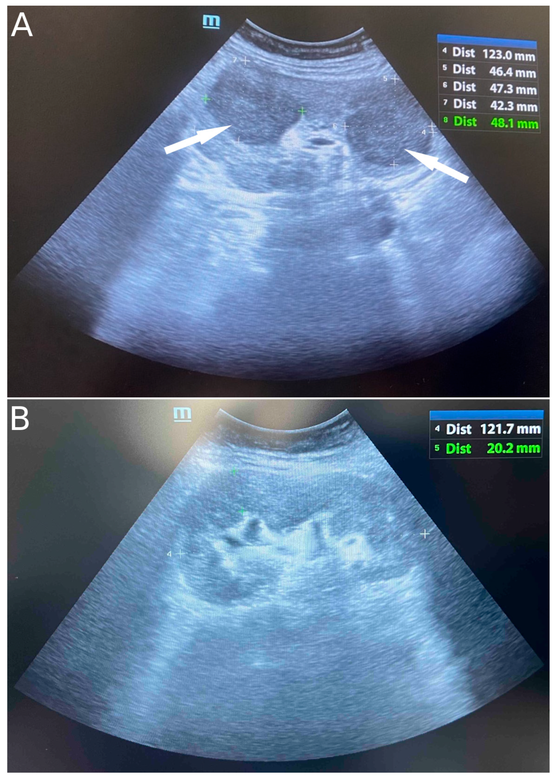 Diseases 13 00339 g001