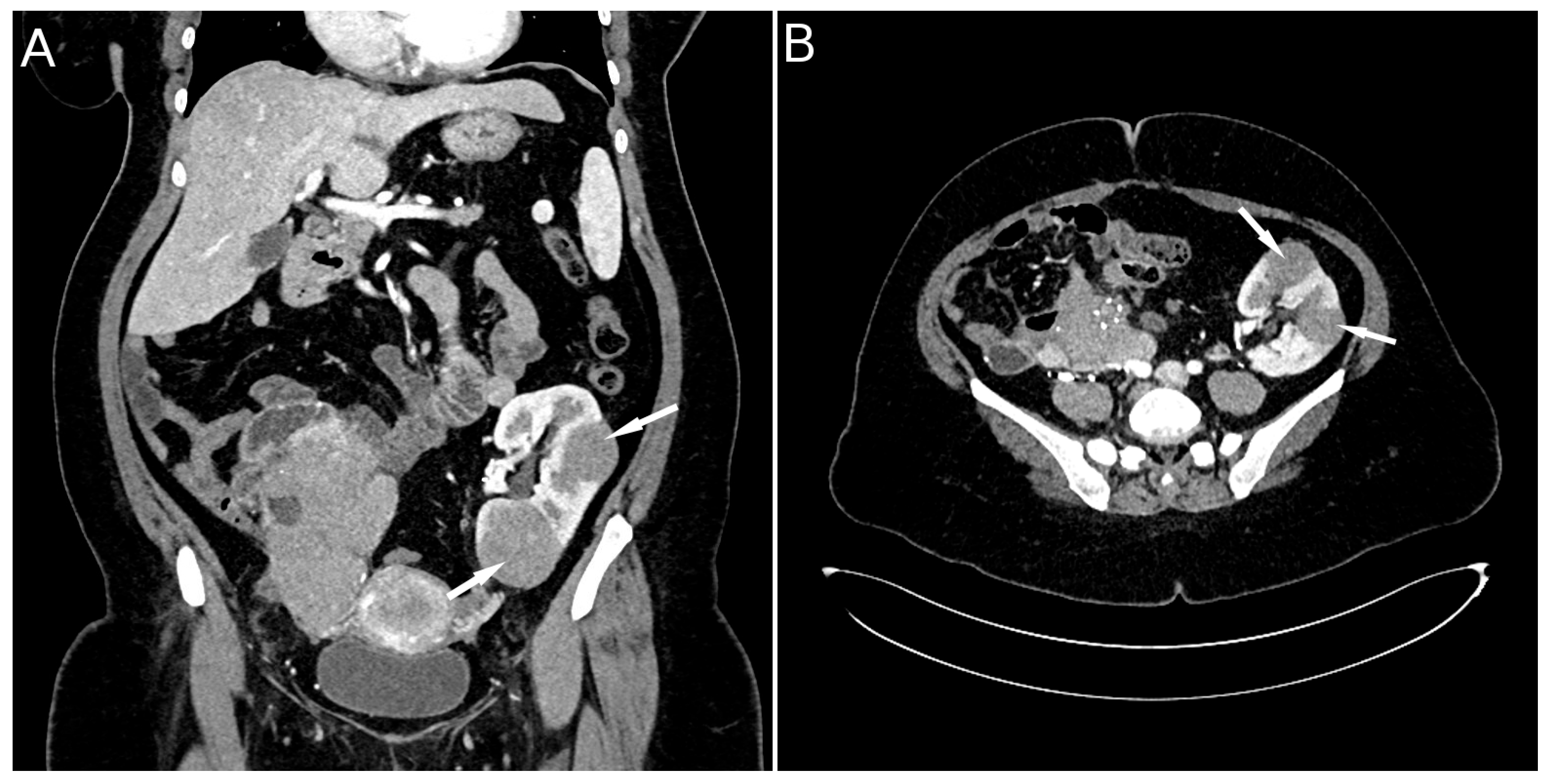 Diseases 13 00339 g002