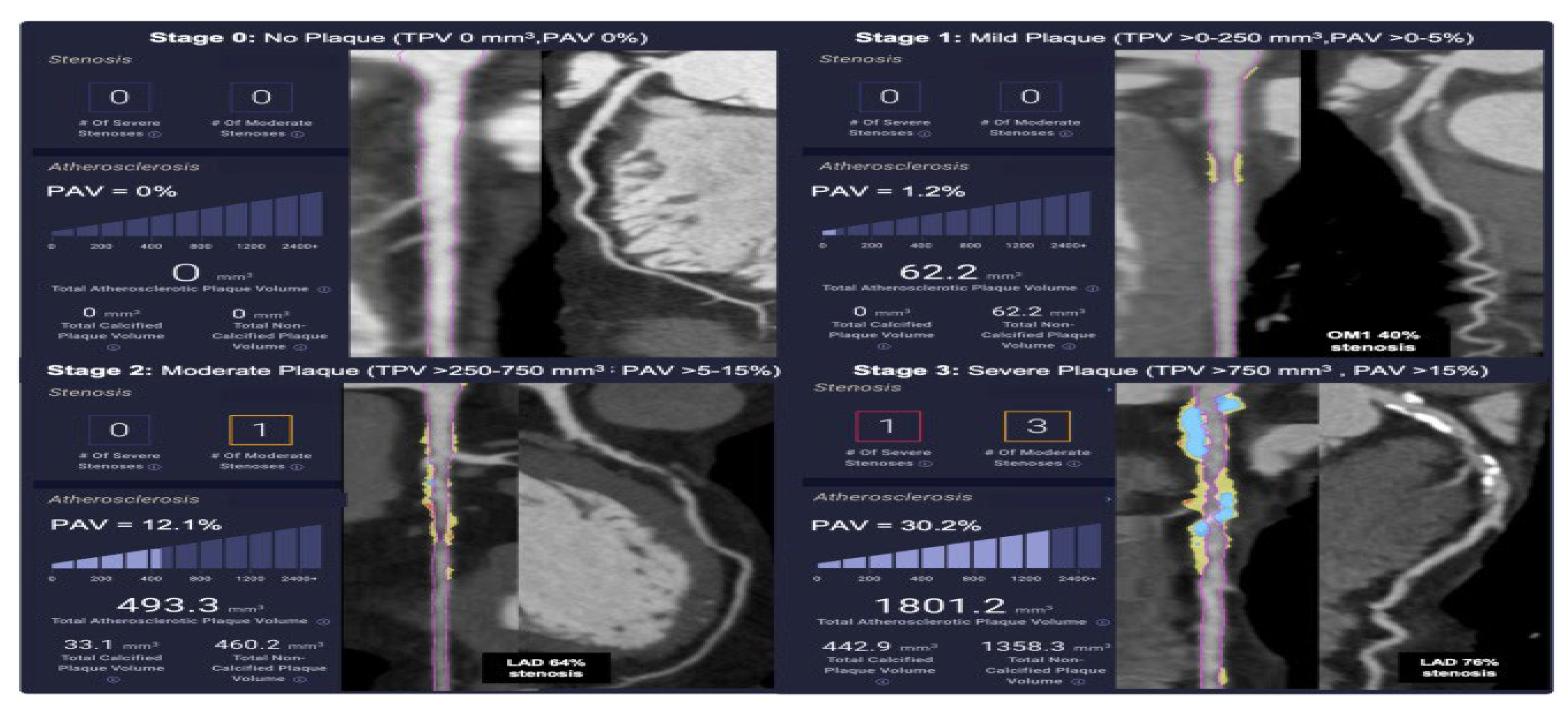 Diseases 13 00343 g001 Diseases 13 00343 g001