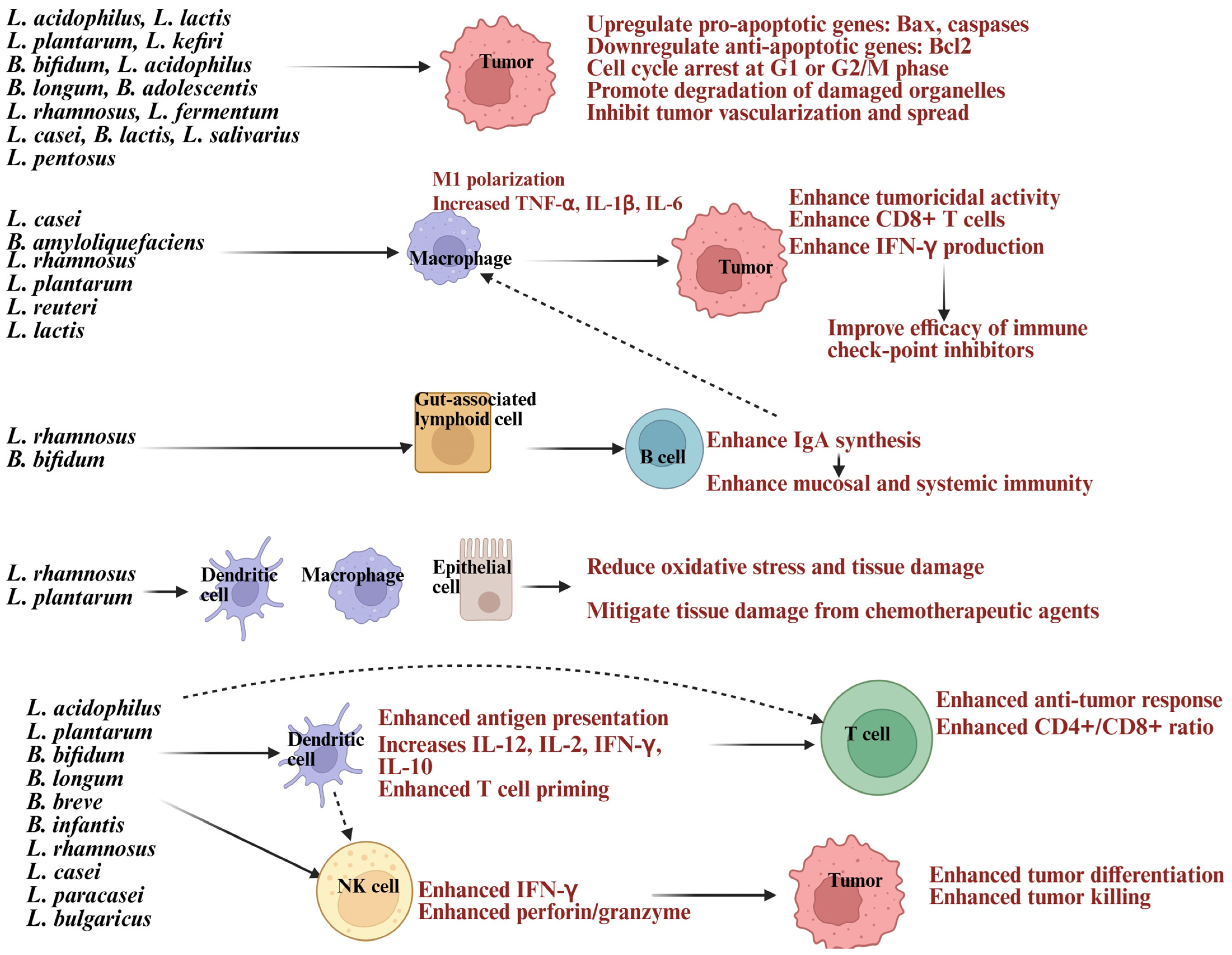 Diseases 13 00345 g001