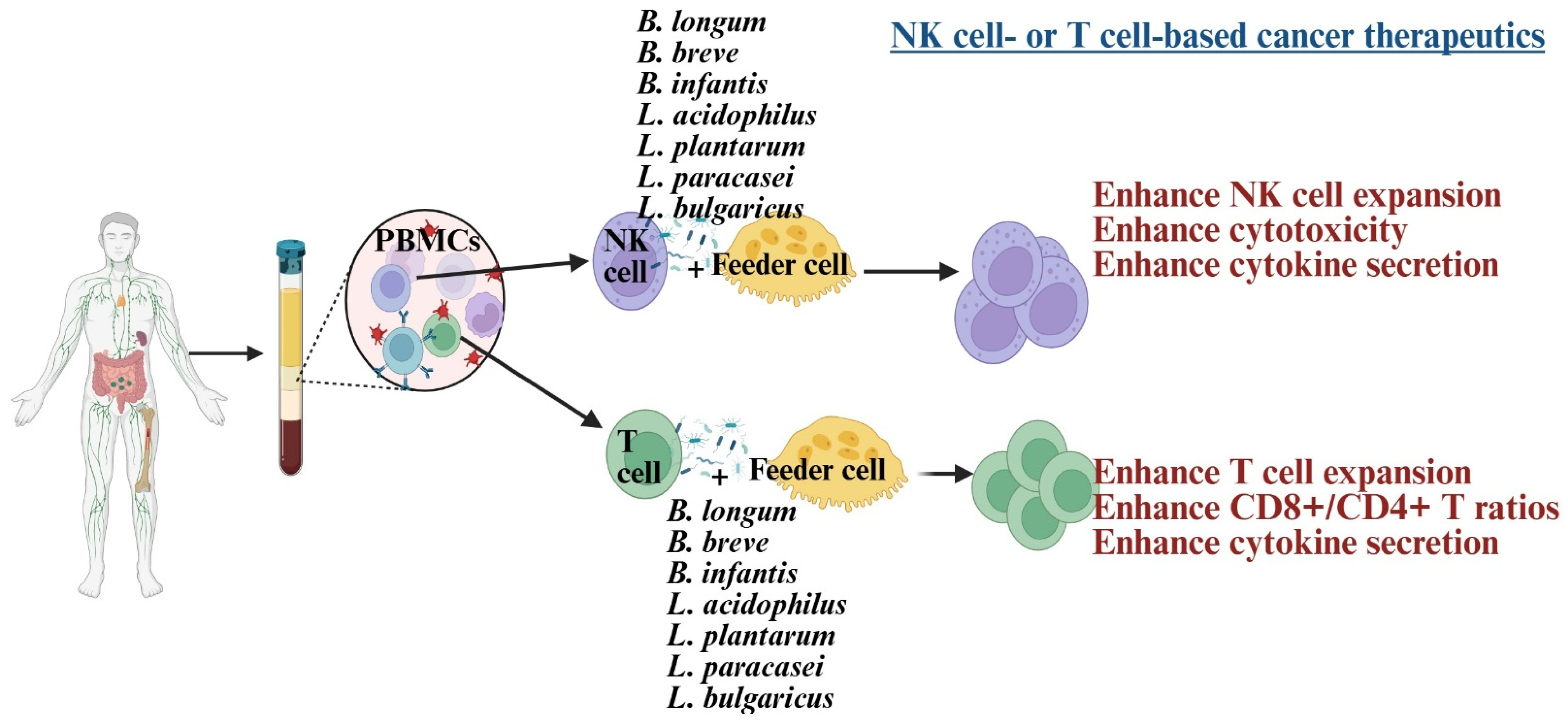 Diseases 13 00345 g002