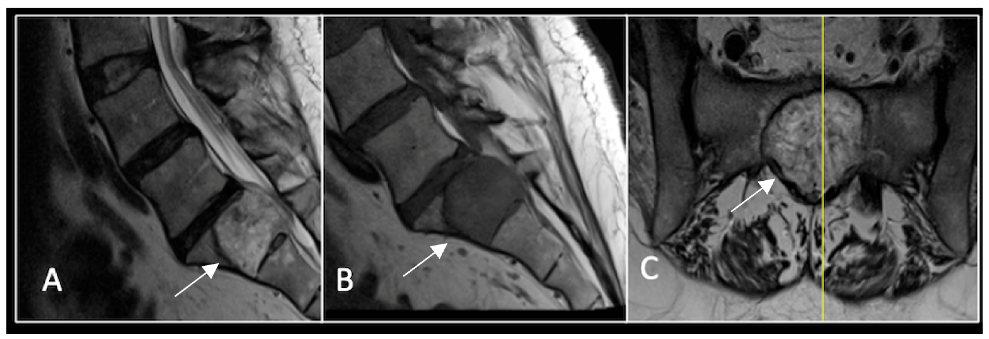 Diseases 13 00348 g004 Diseases 13 00348 g004