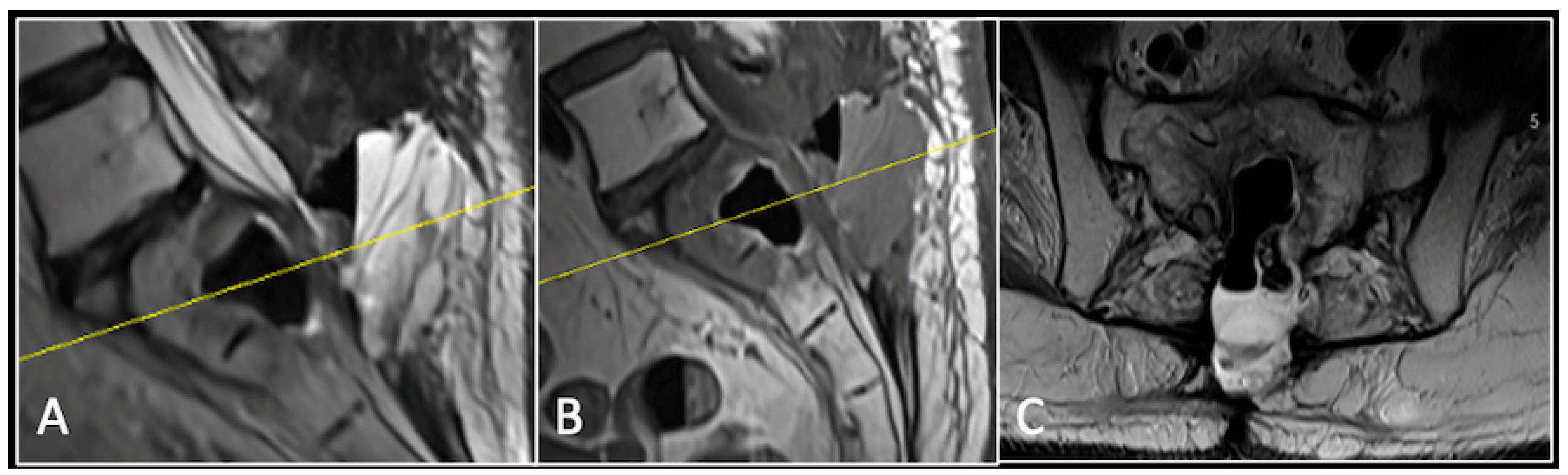 Diseases 13 00348 g006 Diseases 13 00348 g006