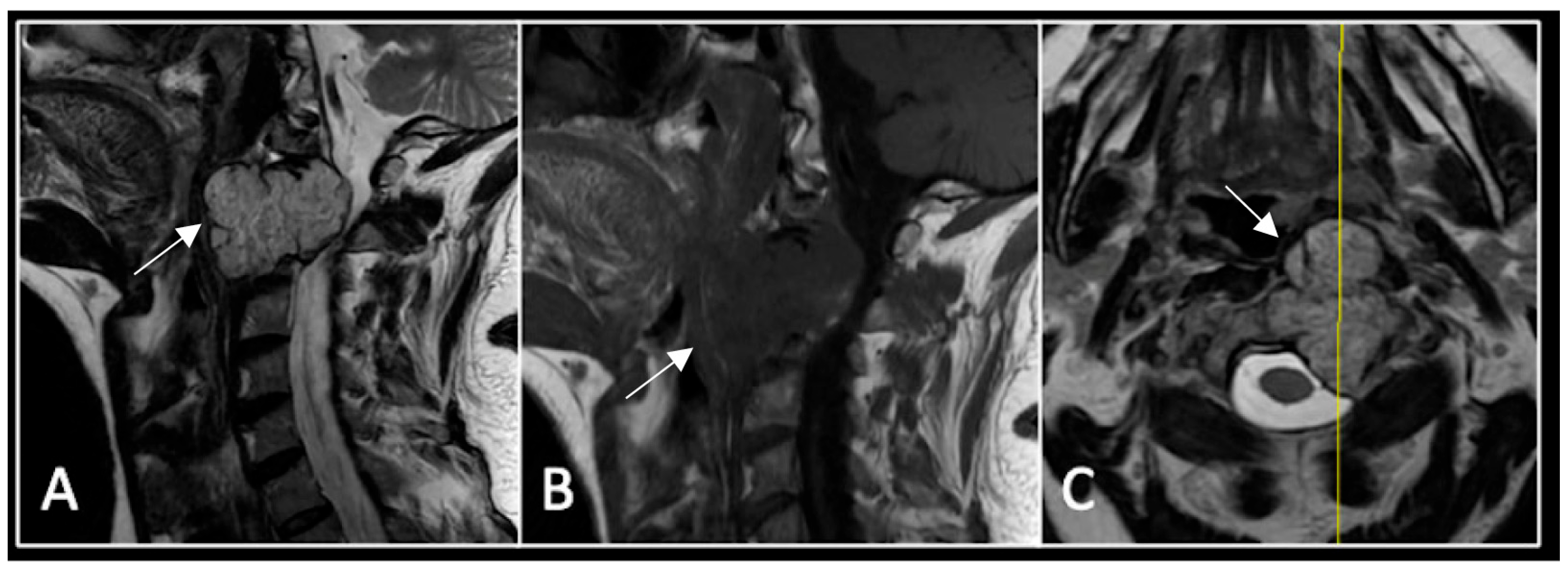 Diseases 13 00348 g007 Diseases 13 00348 g007