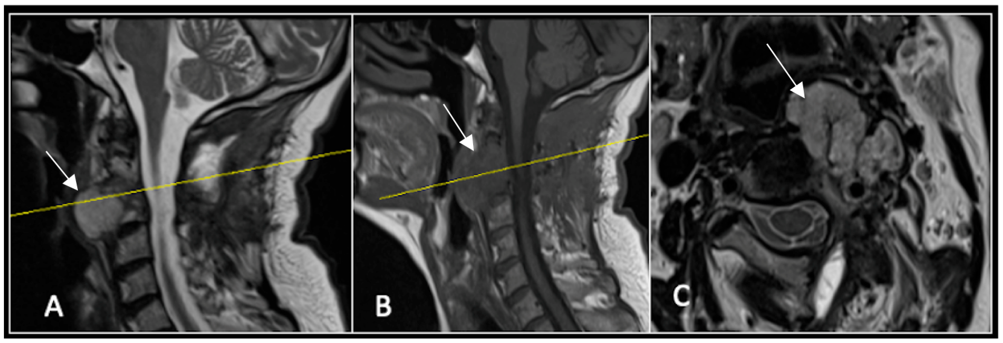 Diseases 13 00348 g008 Diseases 13 00348 g008