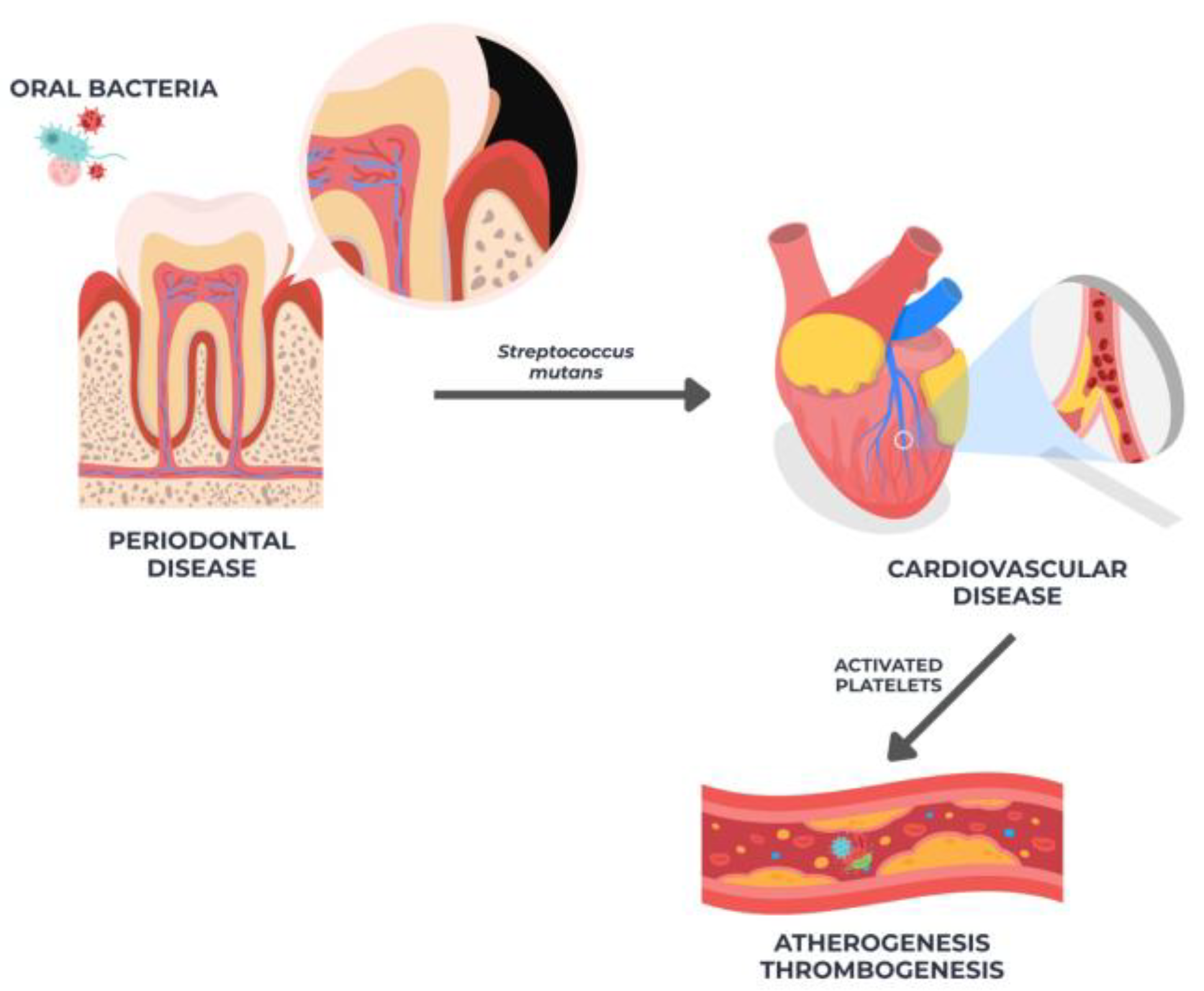 Diseases 13 00354 g001 Diseases 13 00354 g001