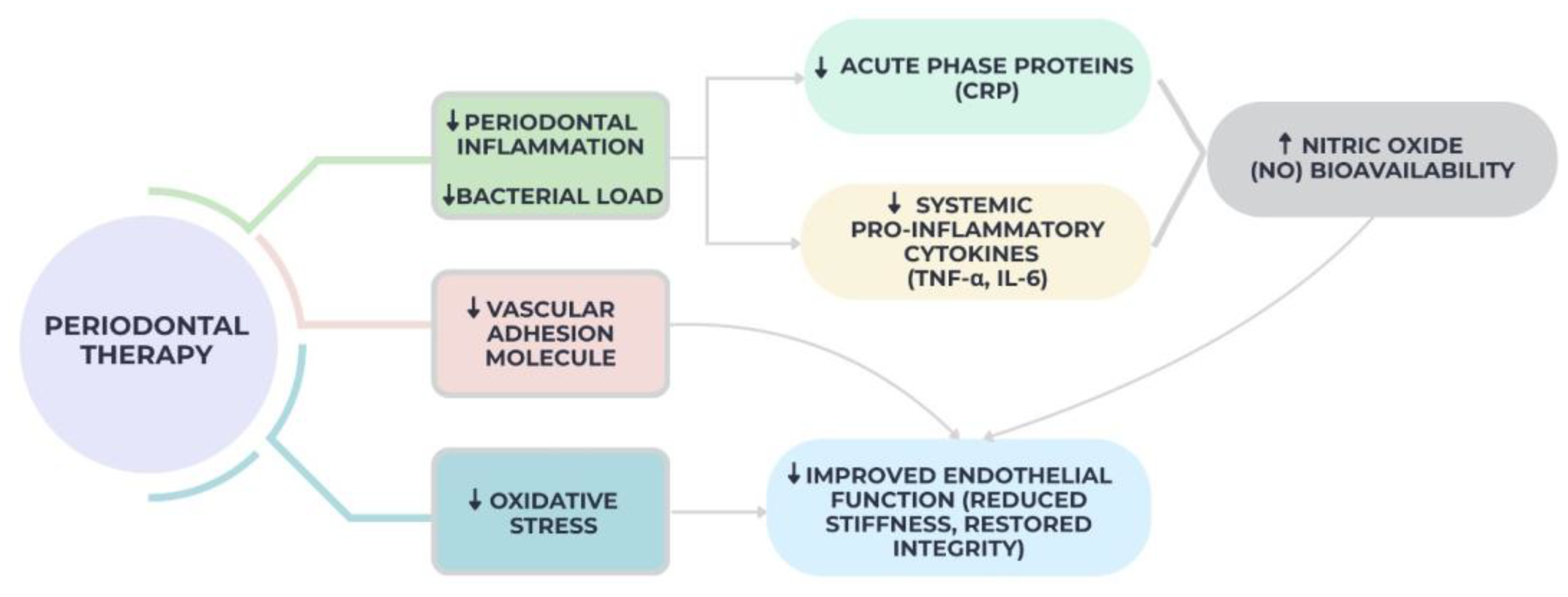Diseases 13 00354 g003 Diseases 13 00354 g003