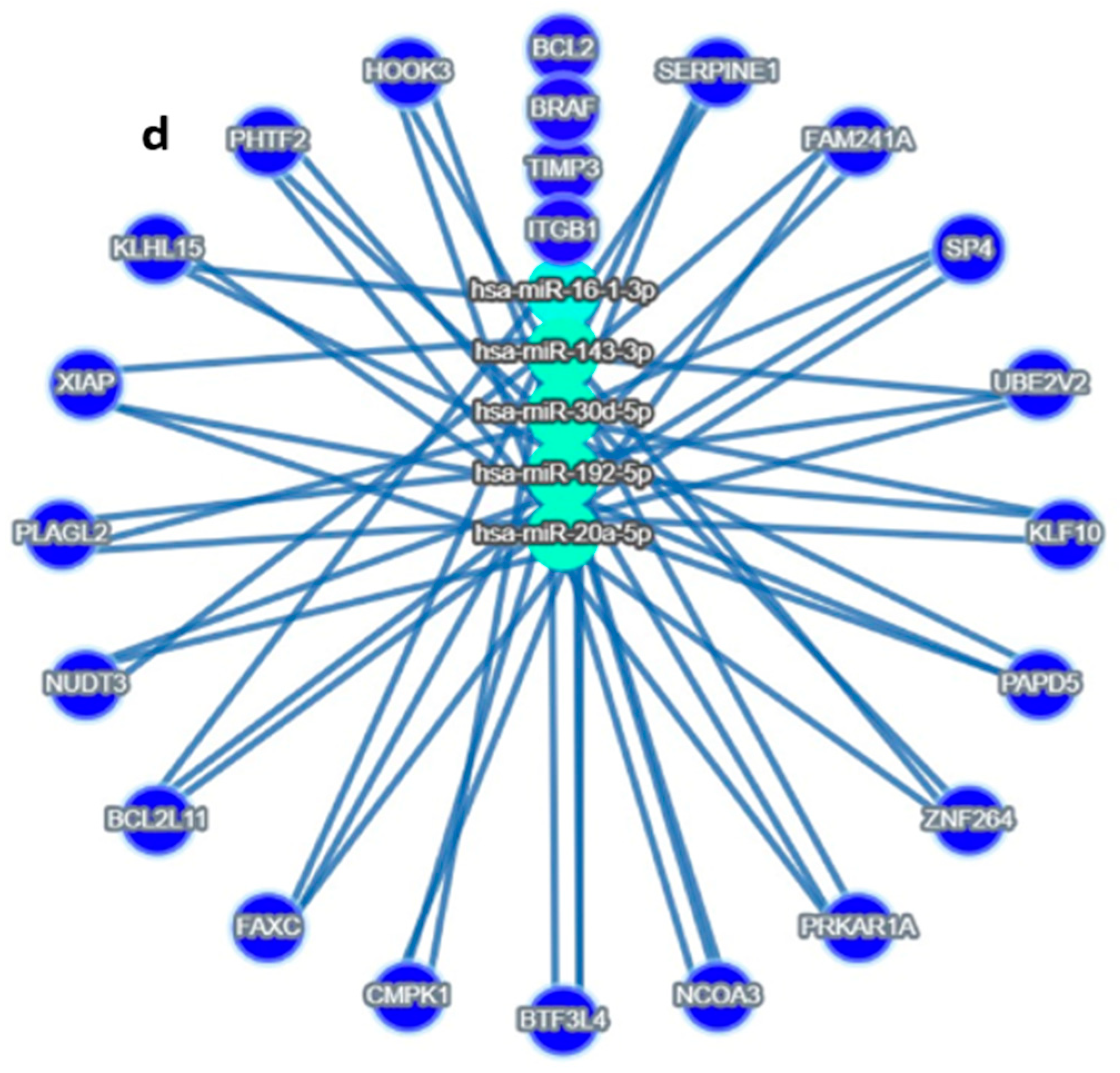 Diseases 13 00360 g002b Diseases 13 00360 g002b