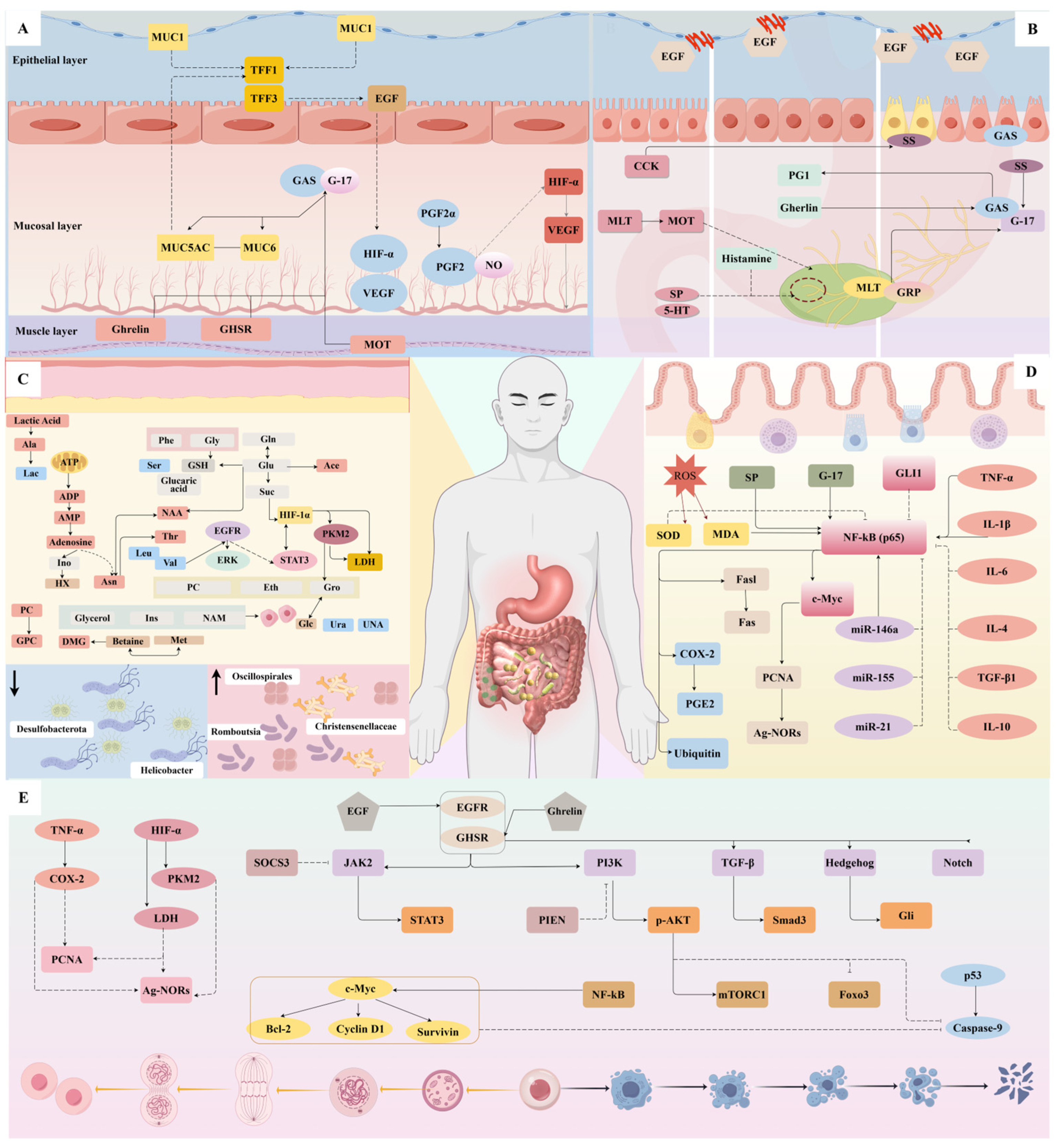 Diseases 13 00363 g001