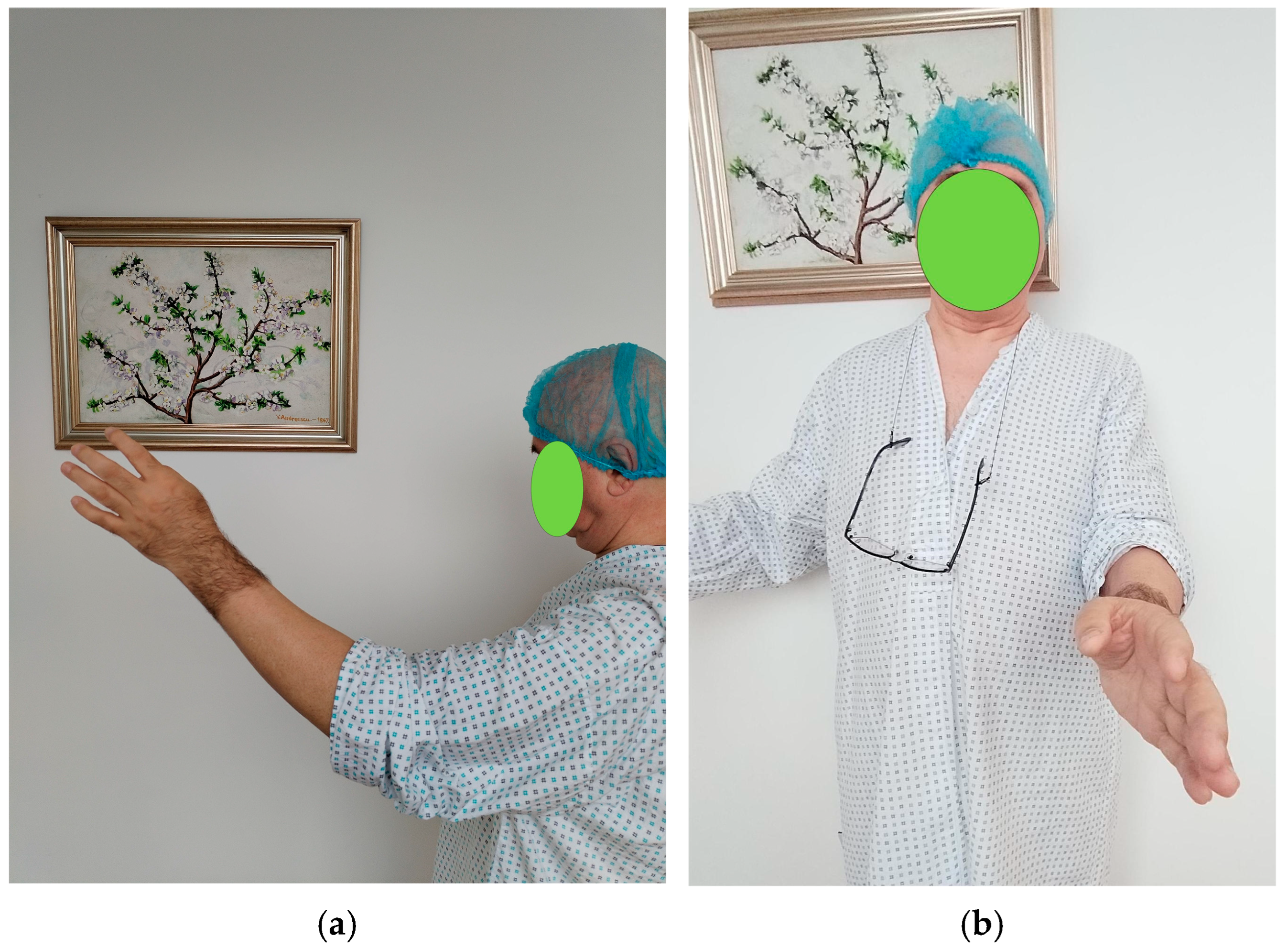 Diseases 13 00369 g001