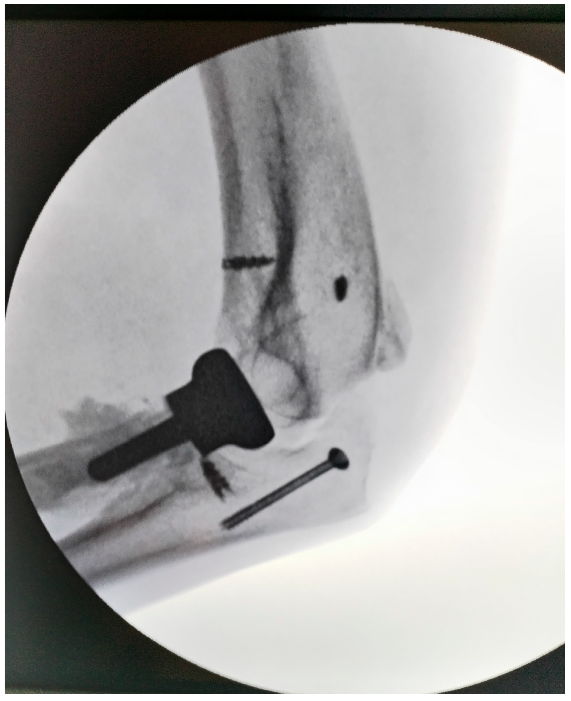 Diseases 13 00369 g004