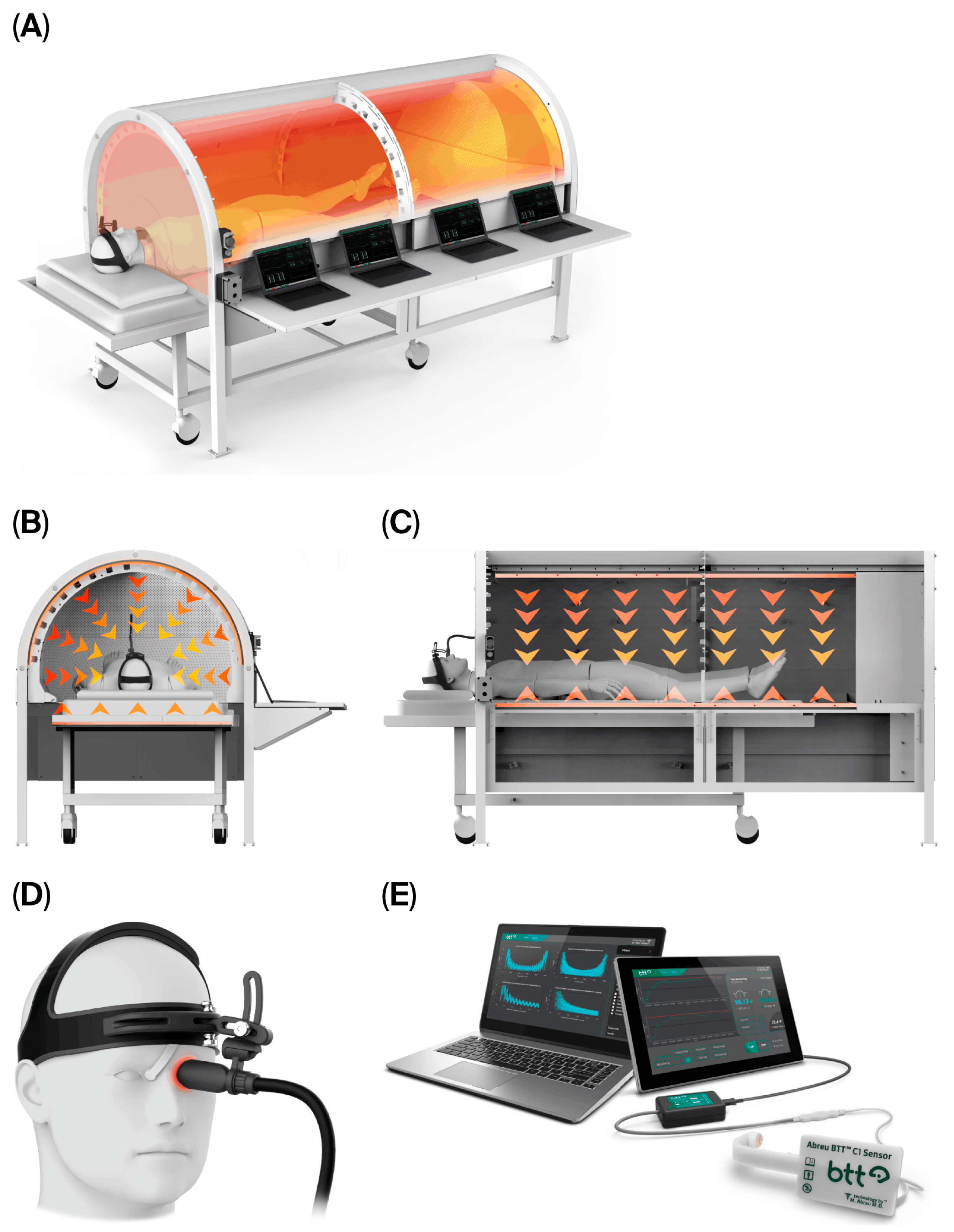 Diseases 13 00371 g001