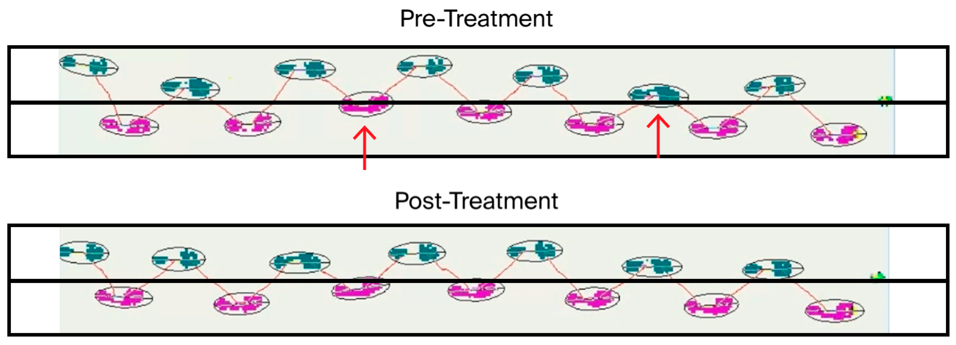 Diseases 13 00371 g003