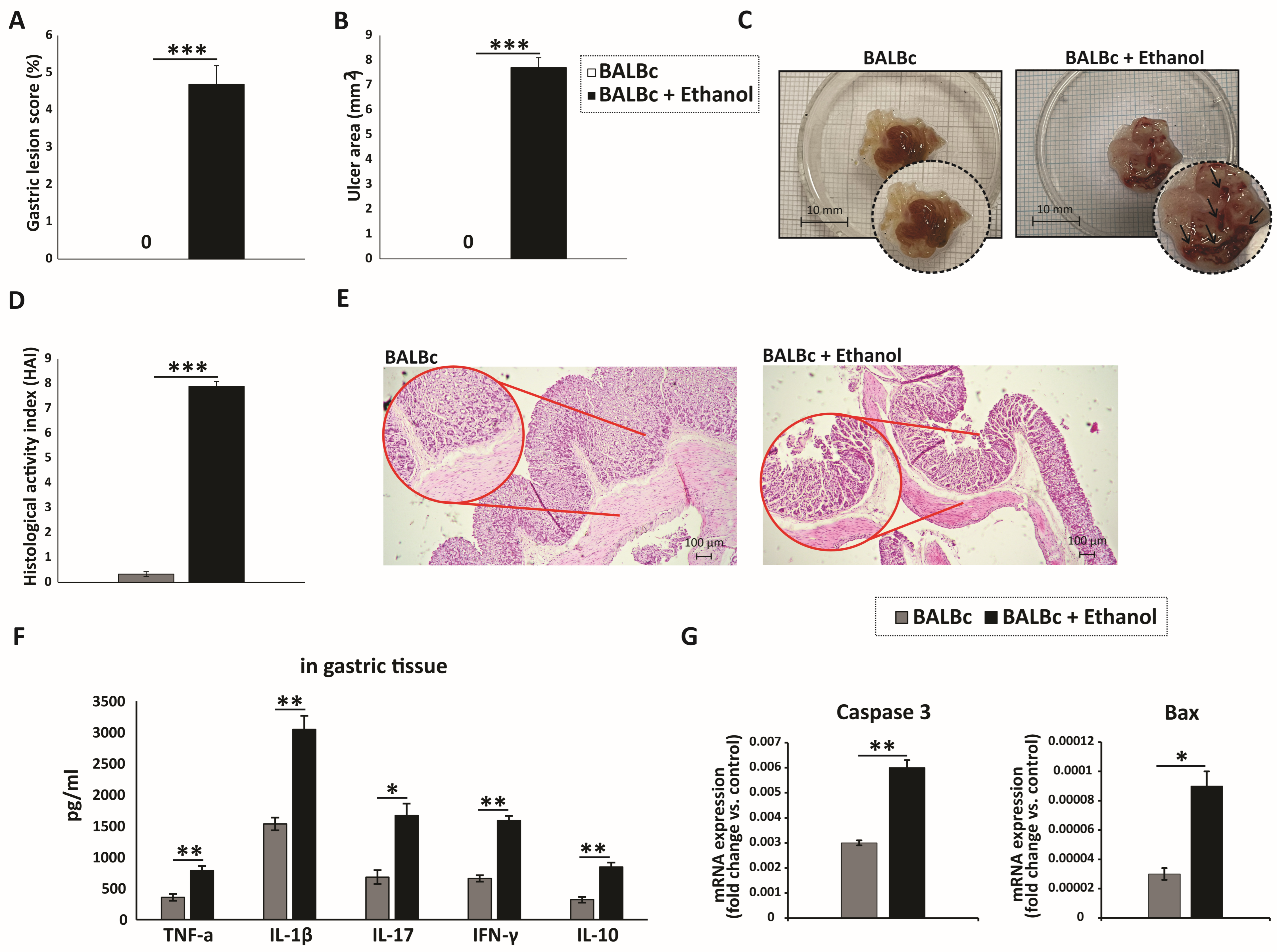 Diseases 13 00374 g001 Diseases 13 00374 g001