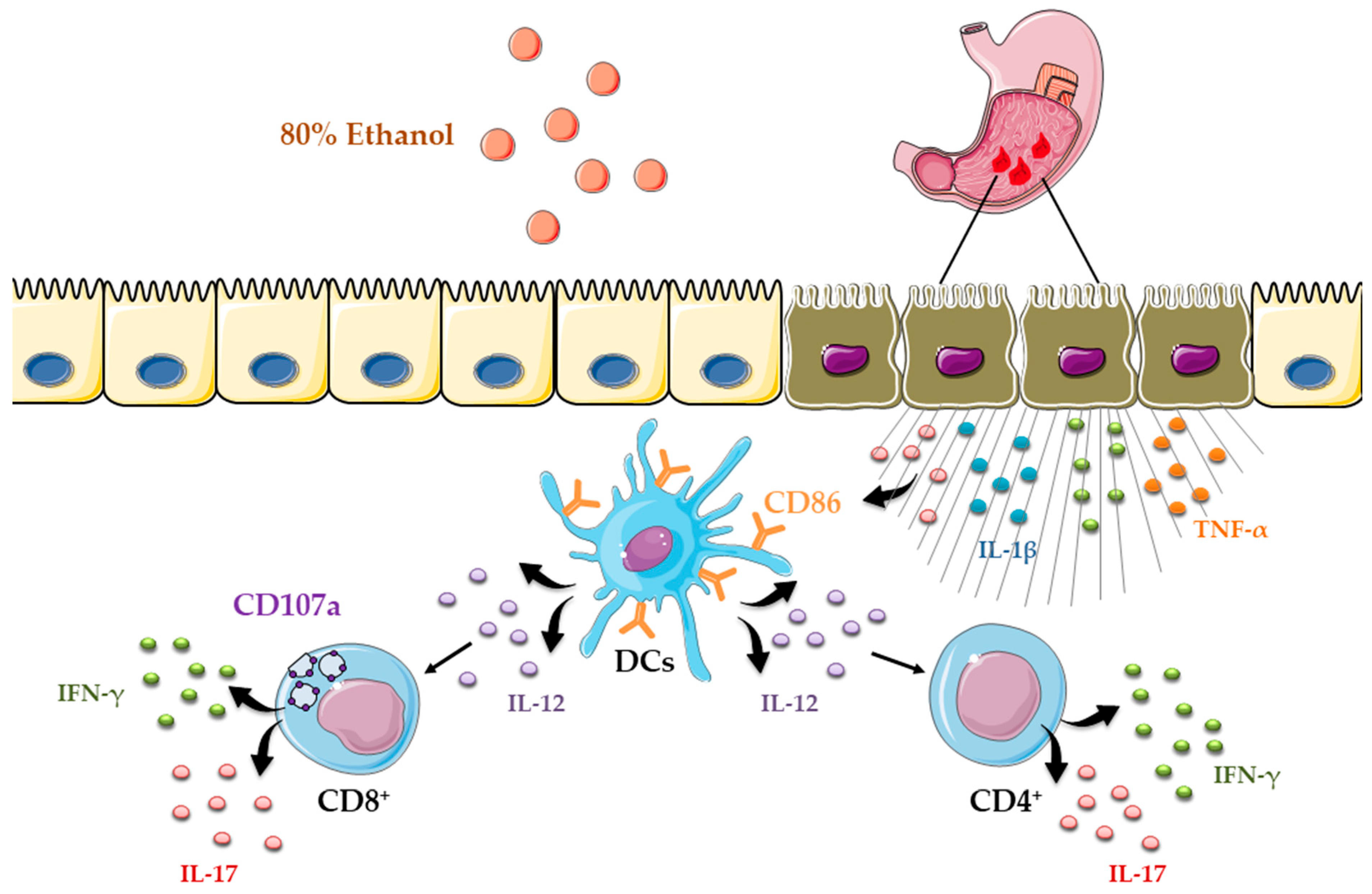 Diseases 13 00374 g005 Diseases 13 00374 g005