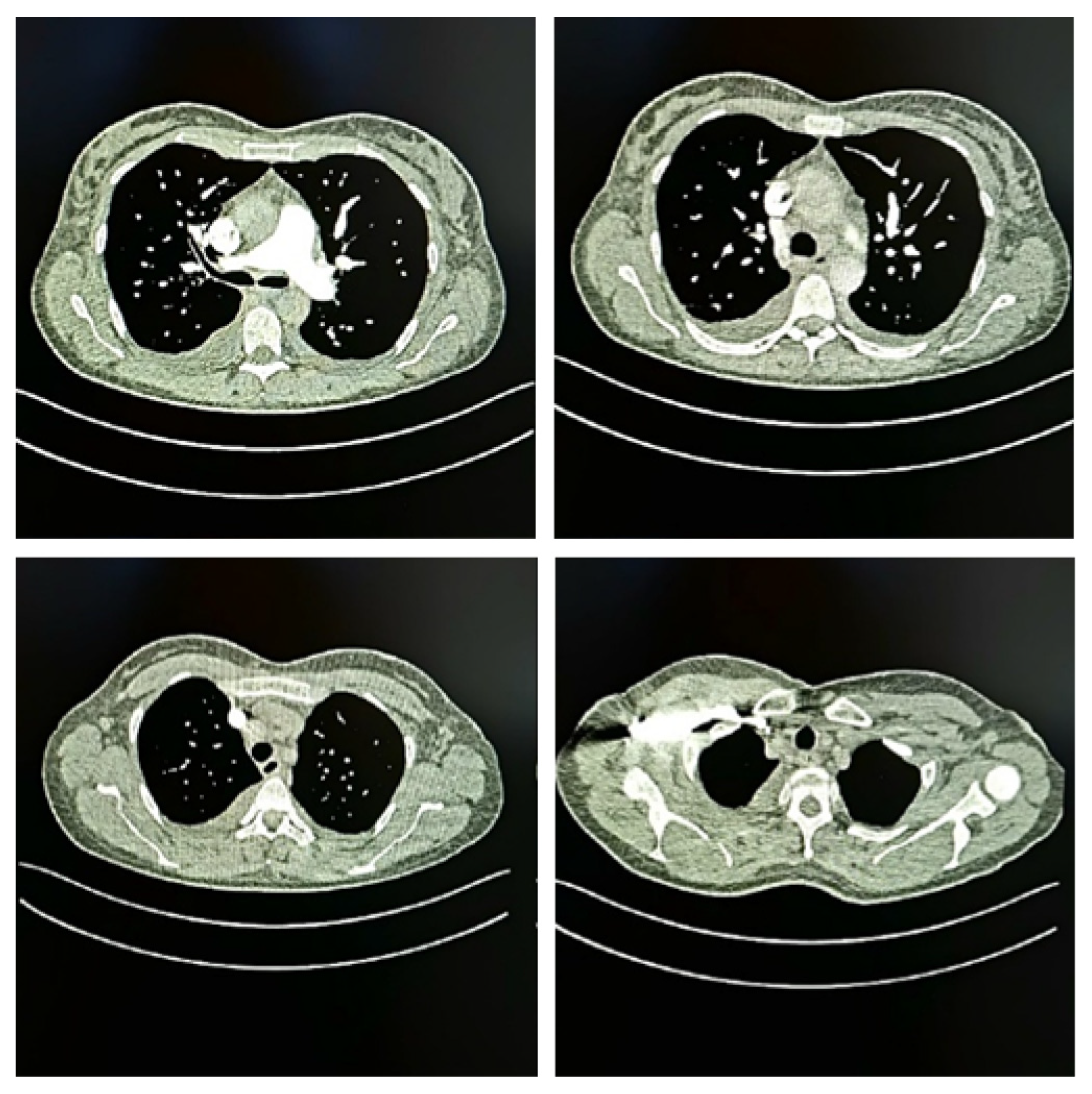 Diseases 13 00376 g001 Diseases 13 00376 g001