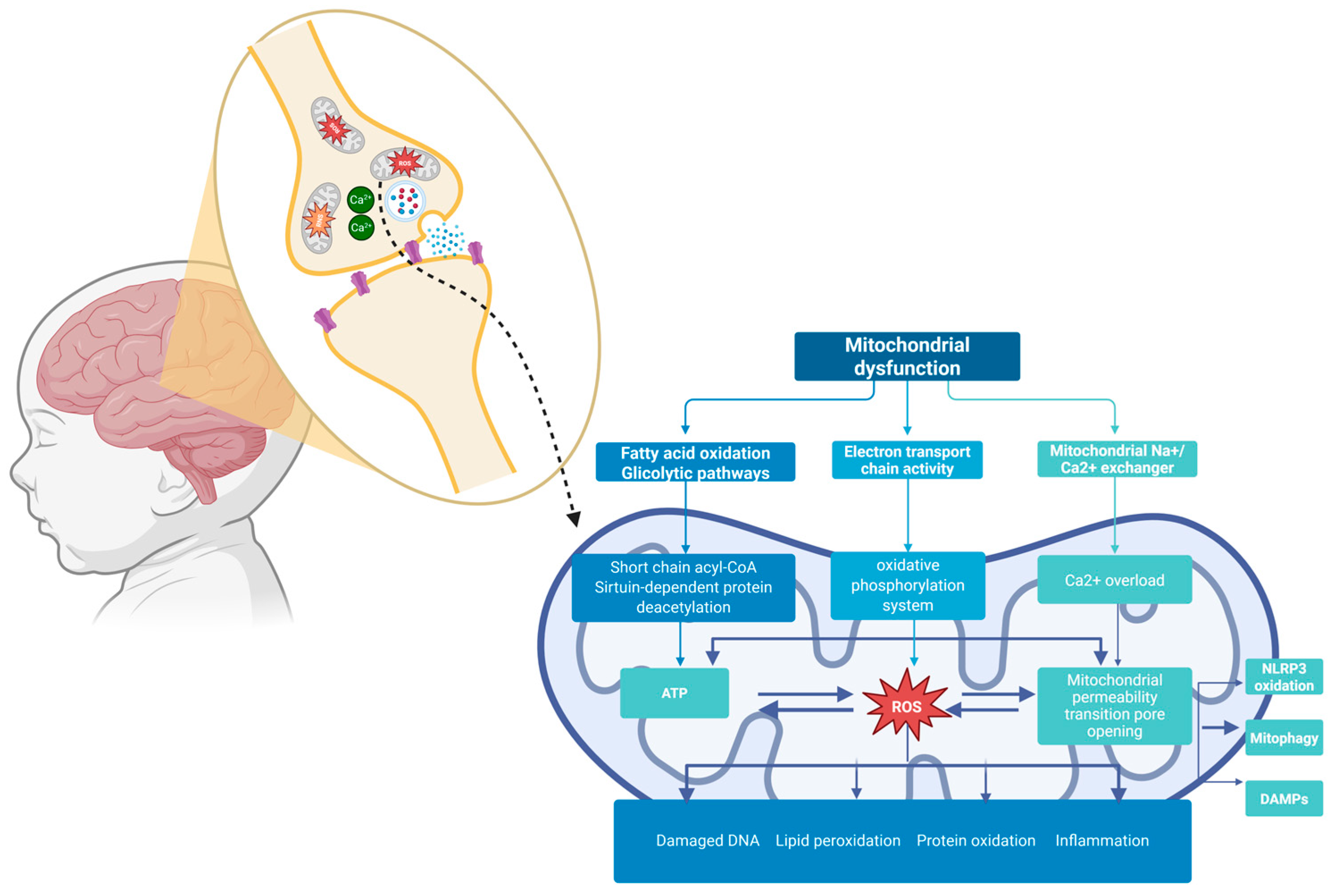 Diseases 13 00378 g001