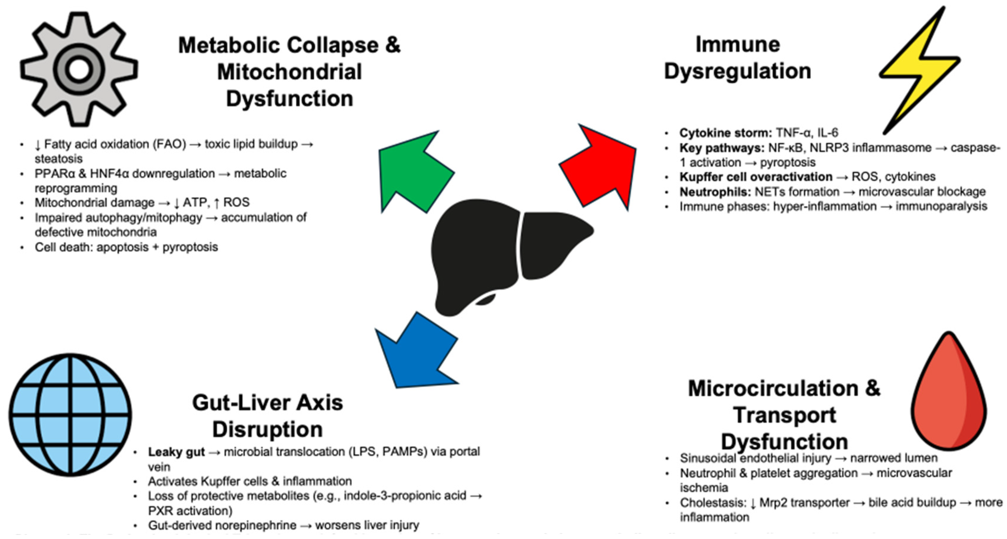 Diseases 13 00388 g001