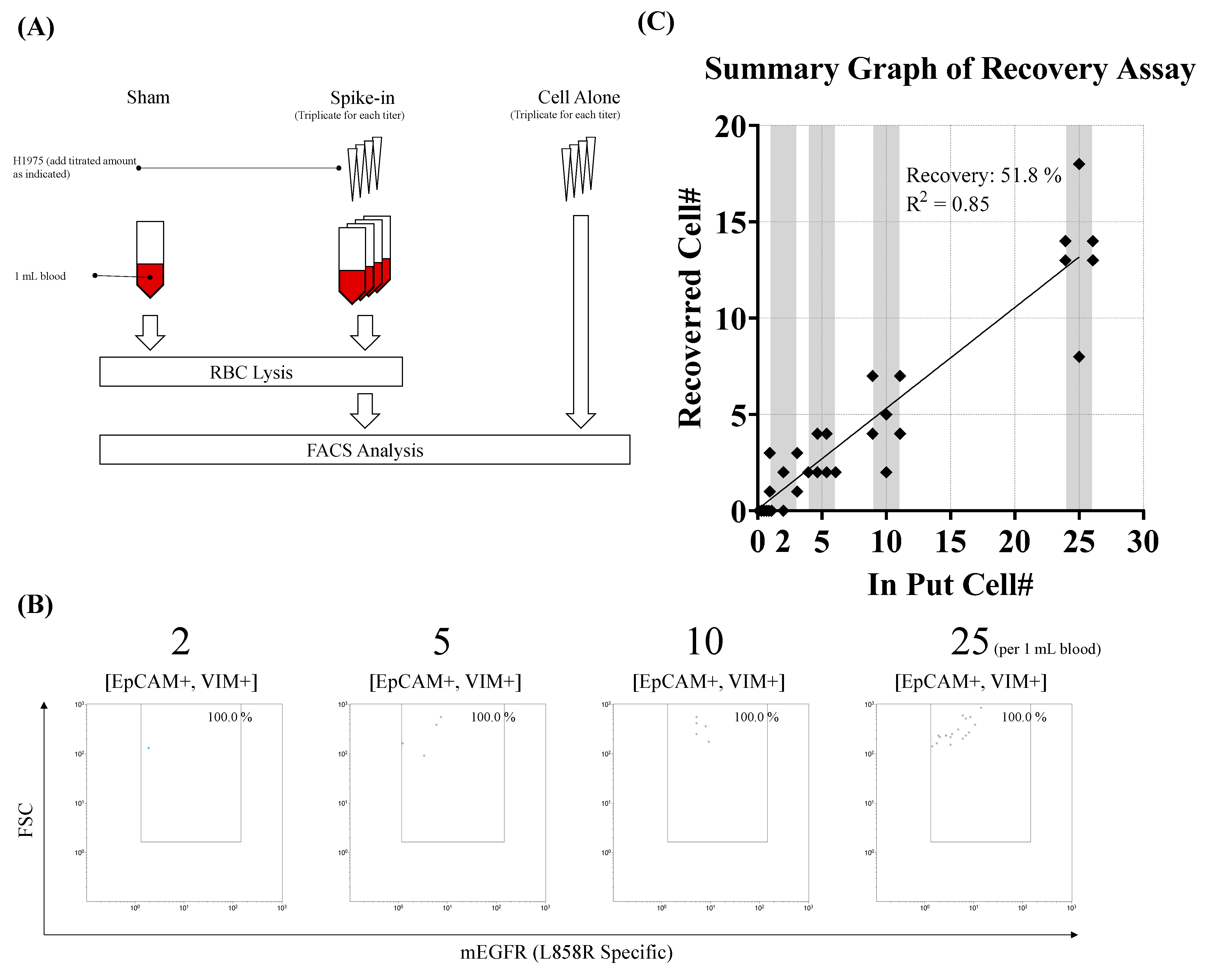 Diseases 13 00406 g002 Diseases 13 00406 g002