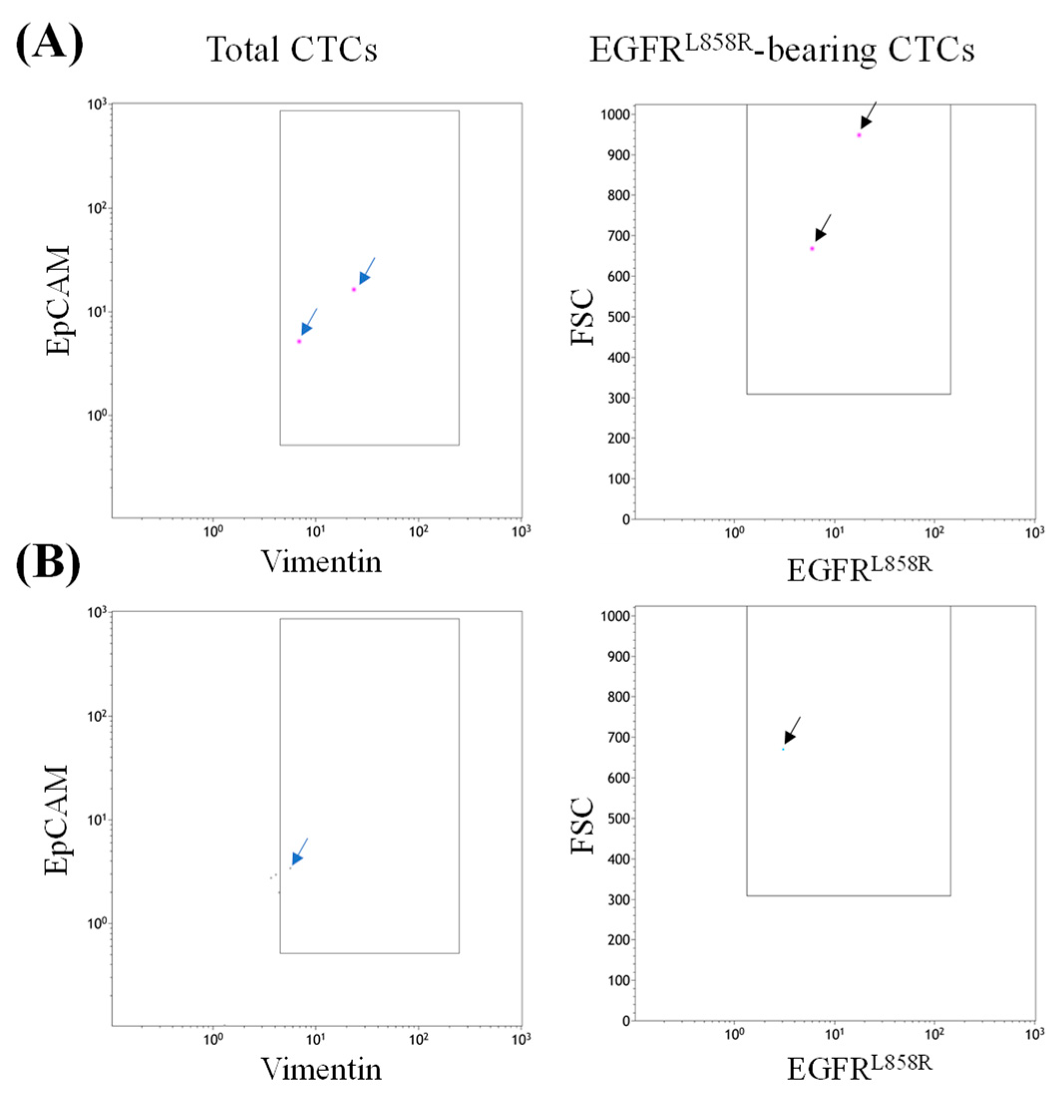 Diseases 13 00406 g004 Diseases 13 00406 g004