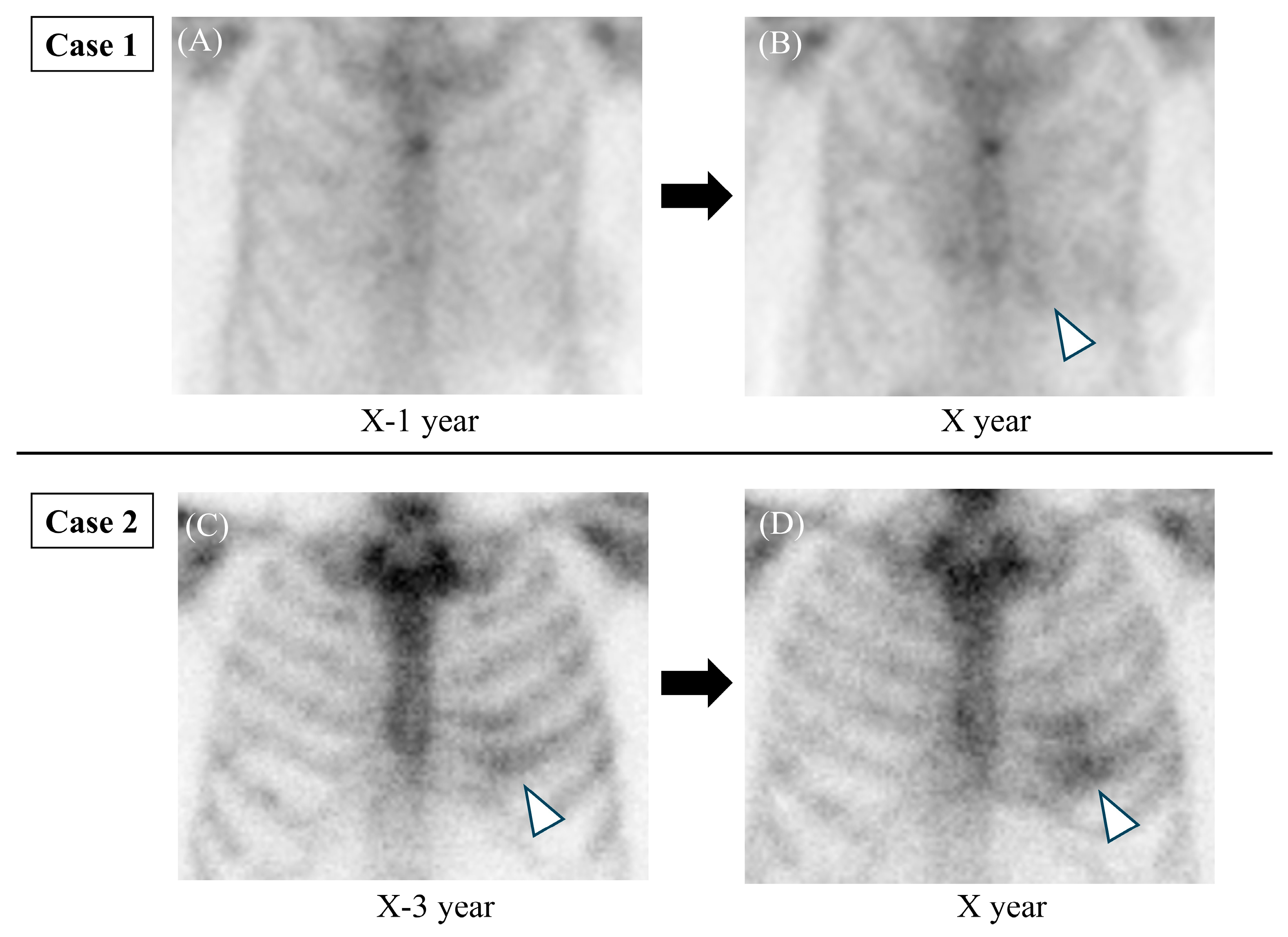 Diseases 14 00023 g002