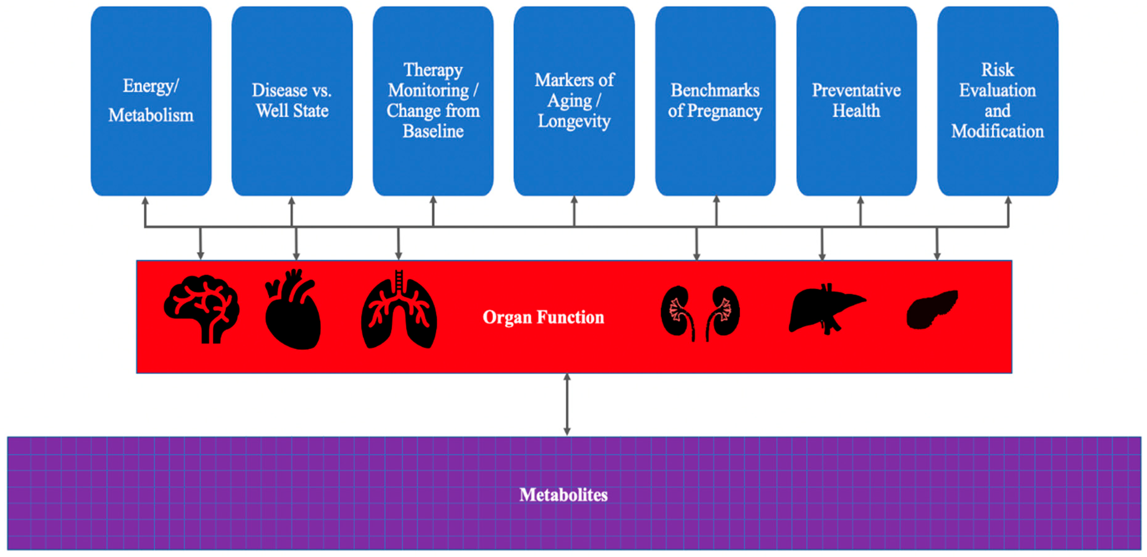 Diseases 14 00085 g002