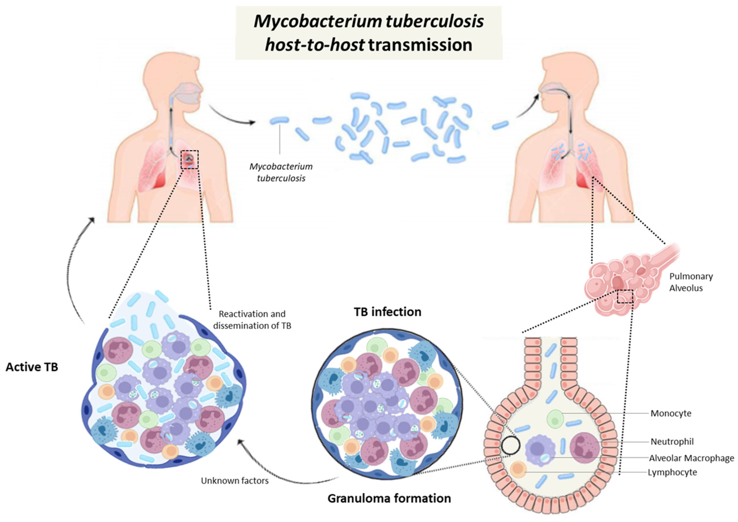 Diseases 14 00102 g001