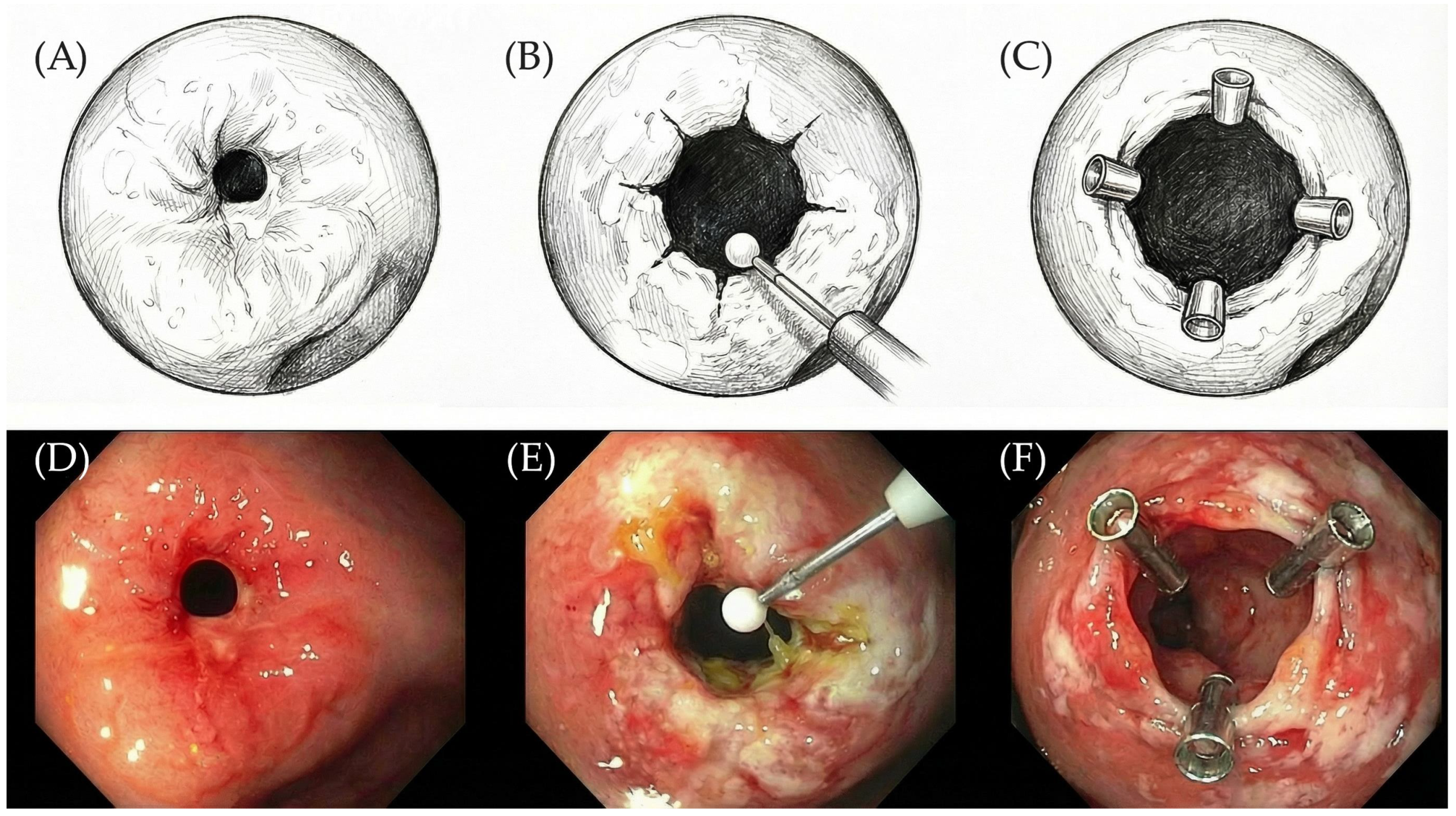 Diseases 14 00121 g002
