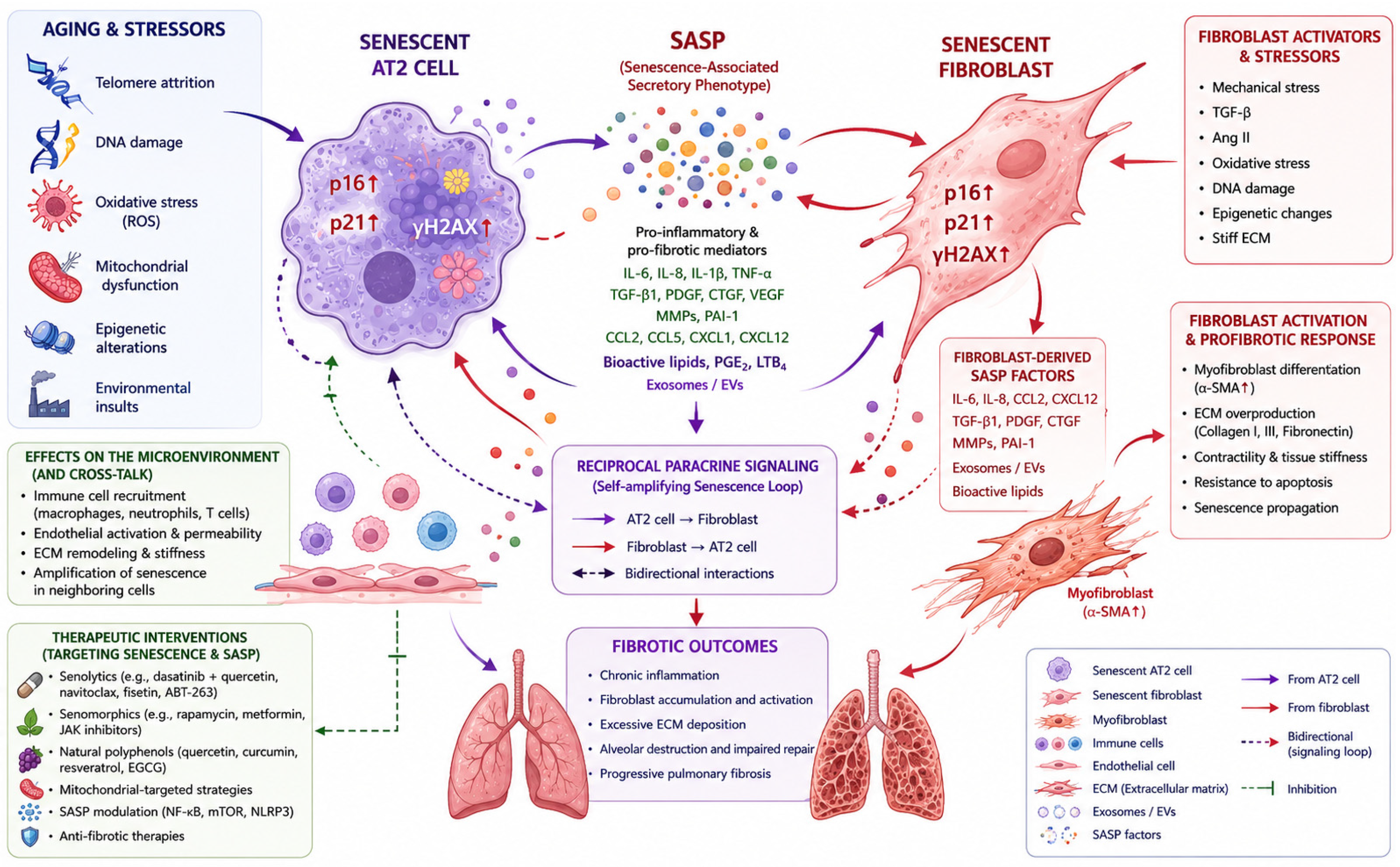 Diseases 14 00201 g001
