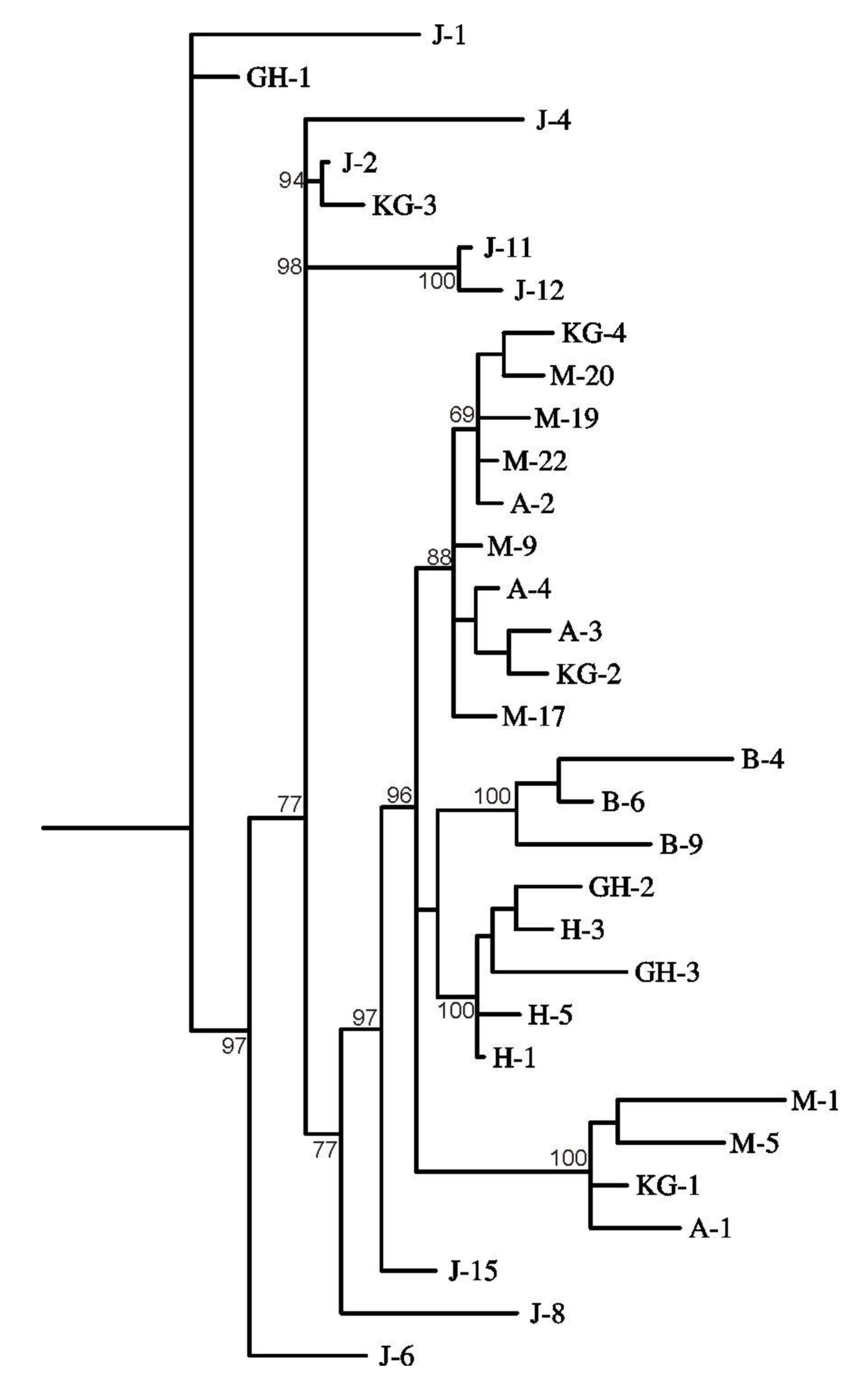 Diversity 01 00089 g002