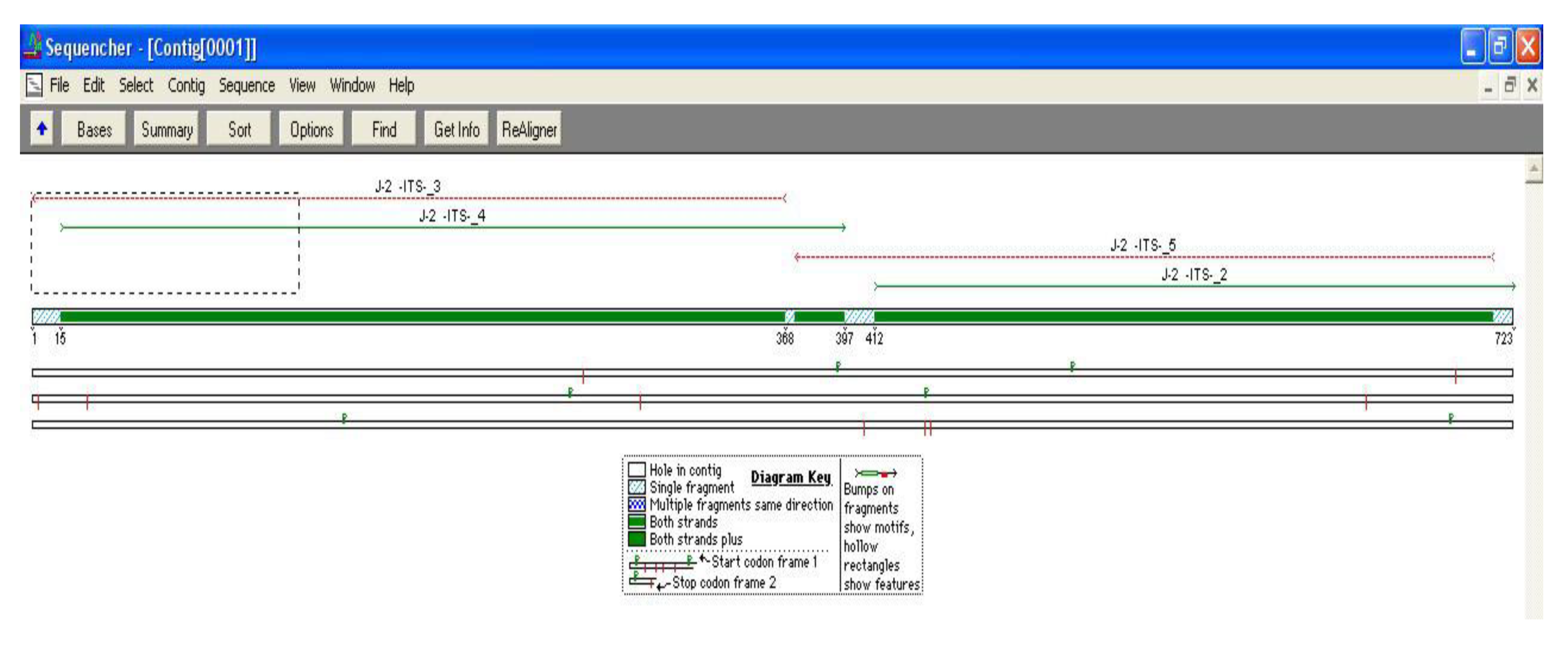 Diversity 01 00089 g003