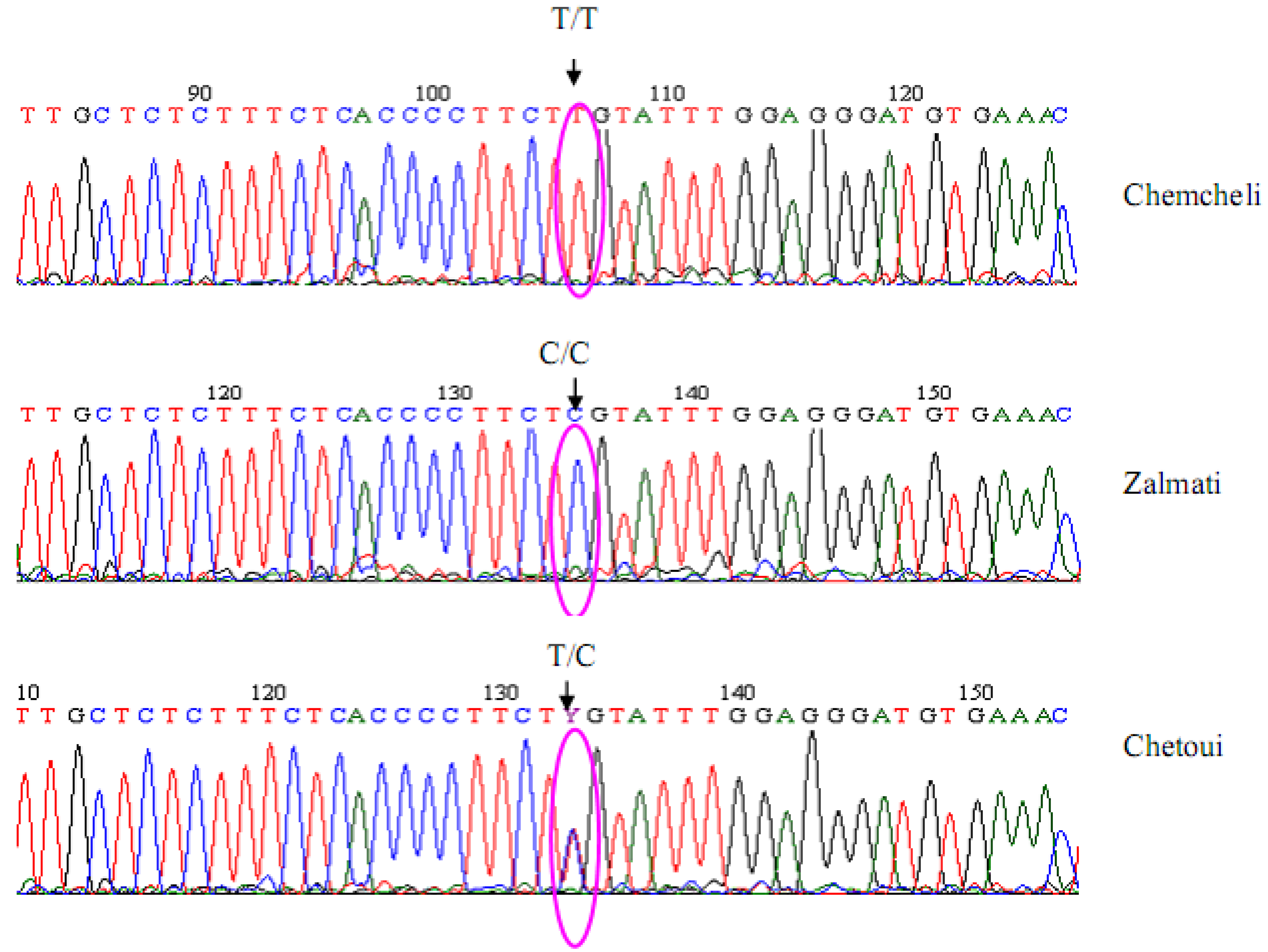 how to clean sequence in bioedit how to clean sequence in bioedit