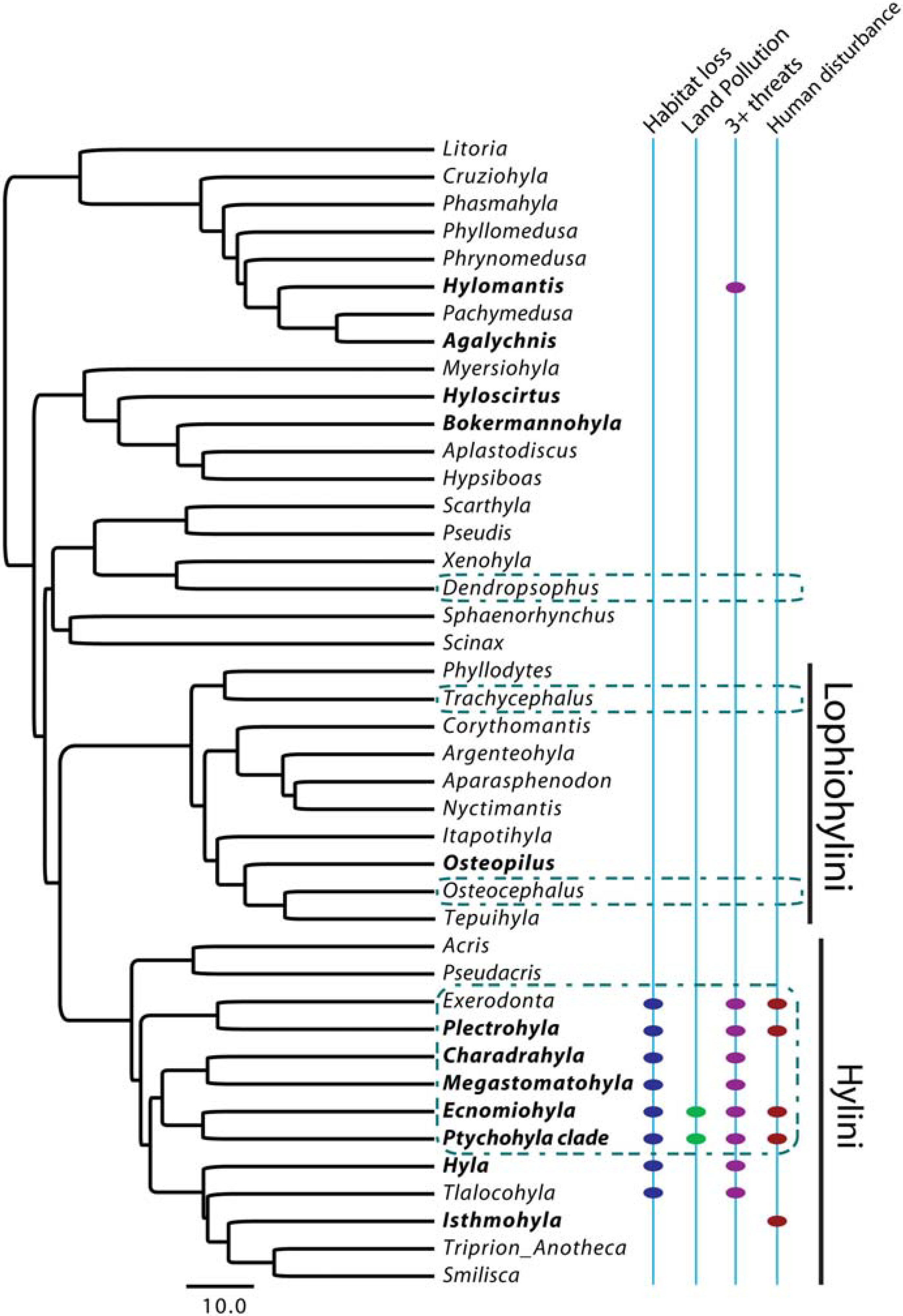 Diversity 02 00142 g003 1024