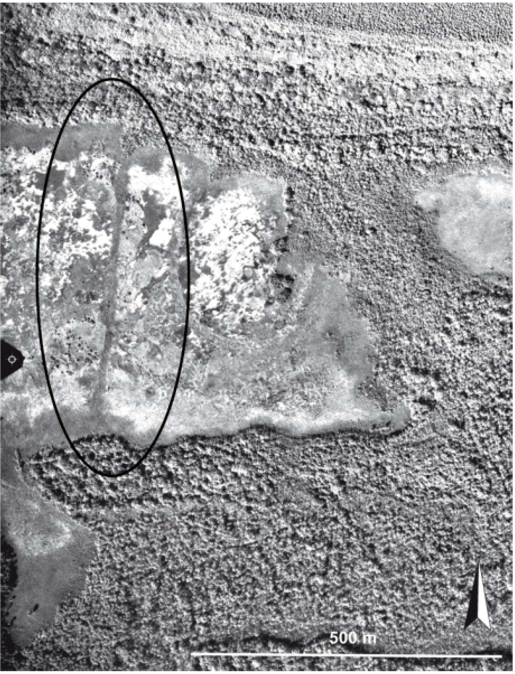 Diversity 02 00331 g013 1024