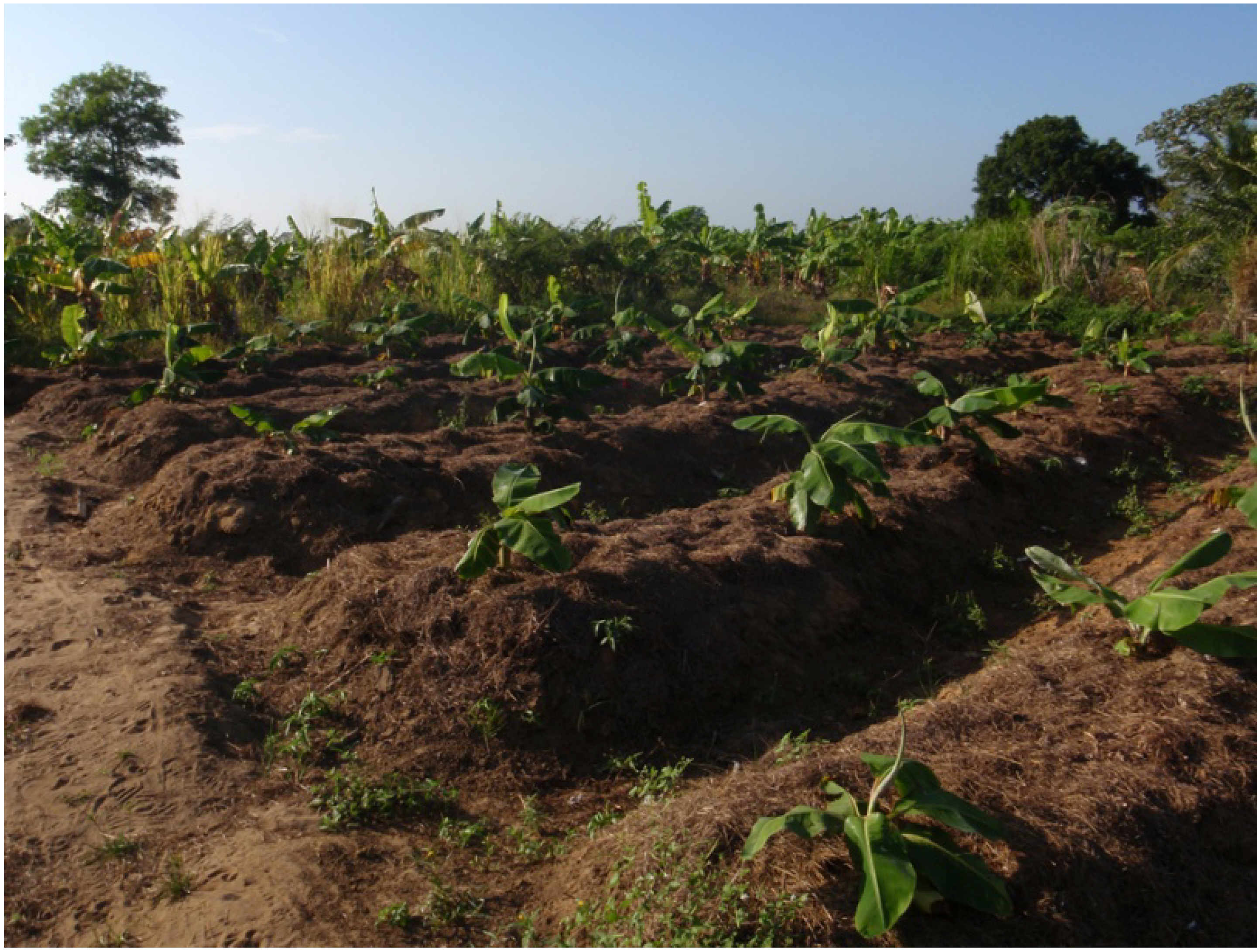 Diversity 02 00331 g014 1024