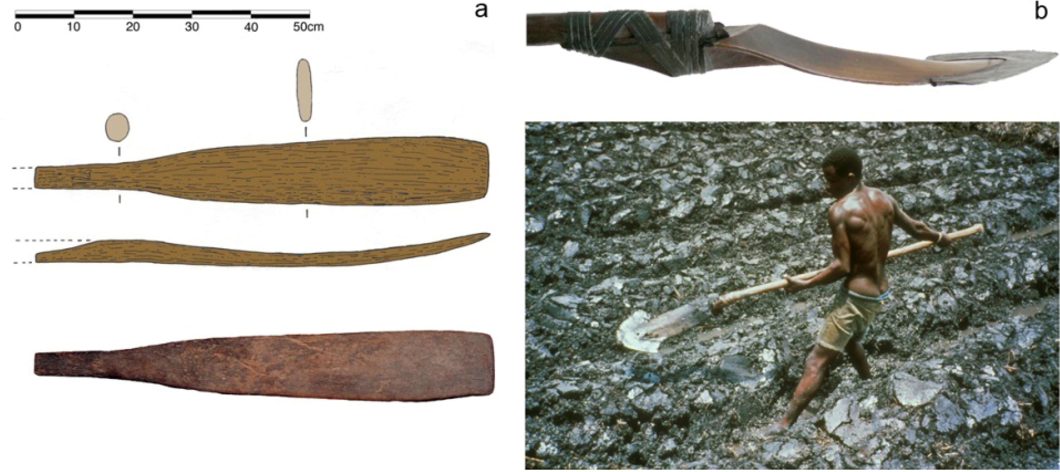 Diversity 02 00331 g015 1024