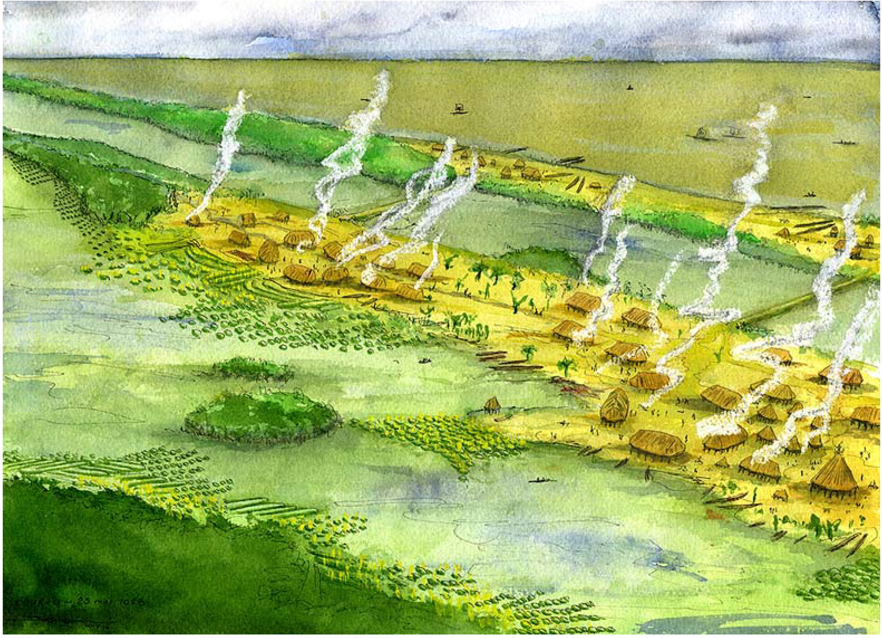 Diversity 02 00331 g016 1024