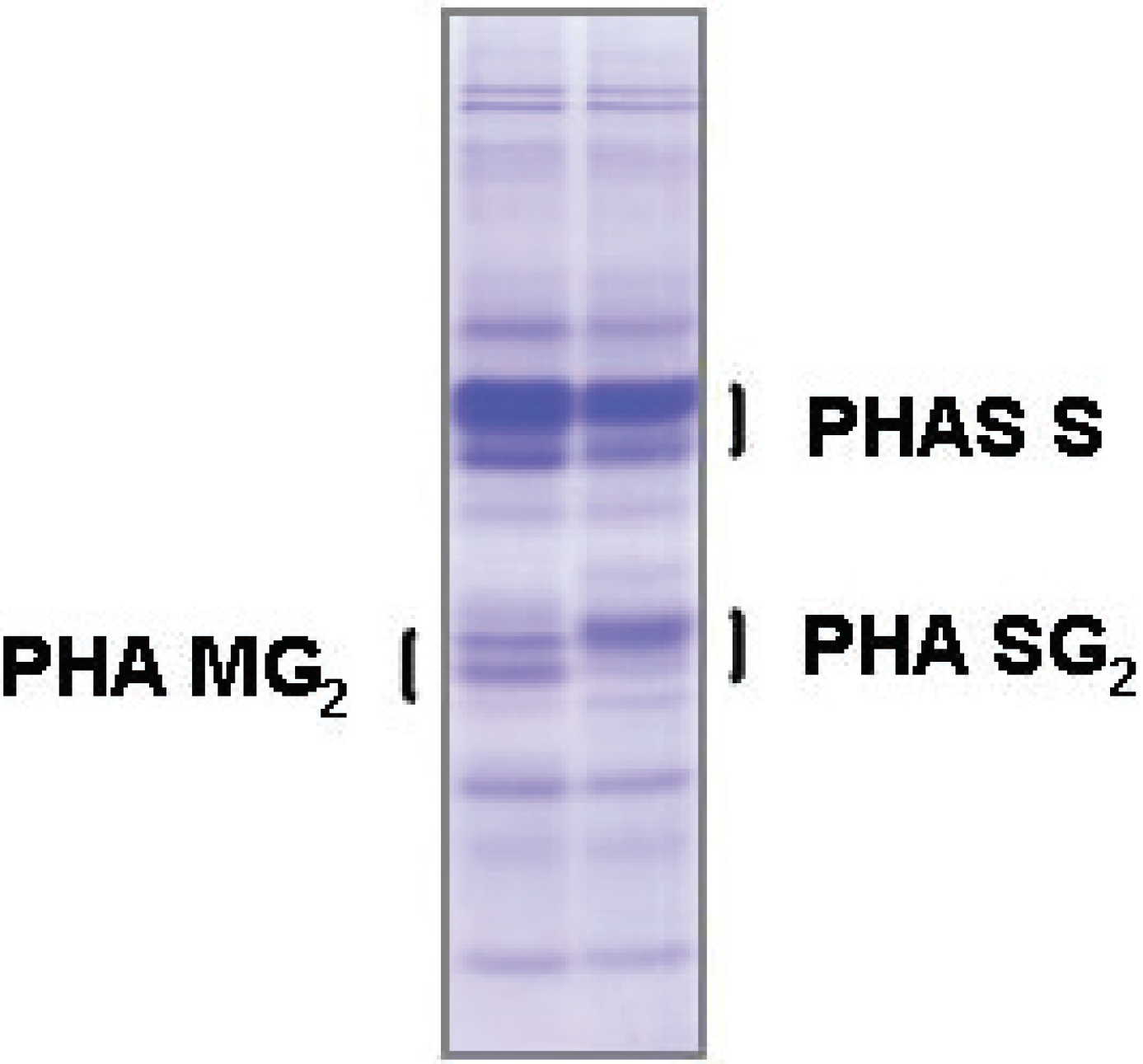 Diversity 02 00837 g003
