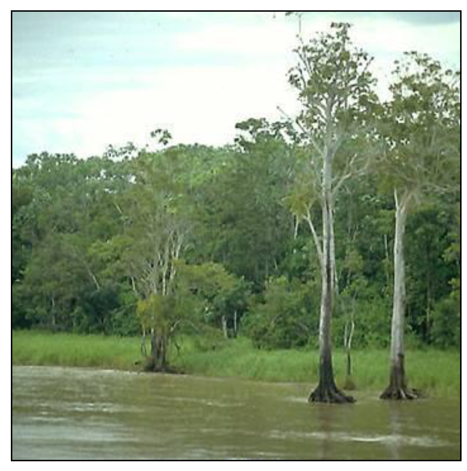 Diversity 02 01026 g001 1024