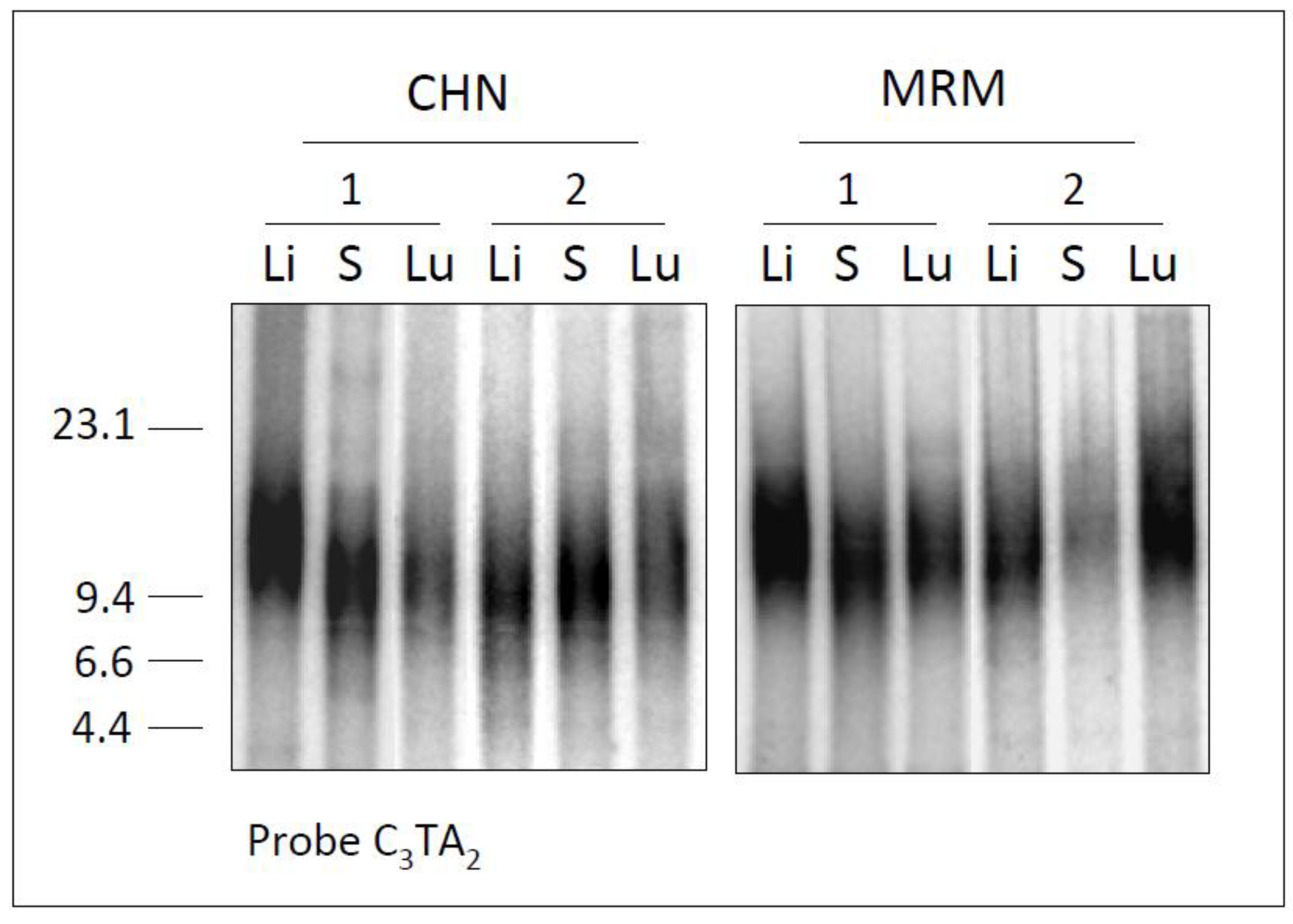Diversity 02 01118 g002 1024