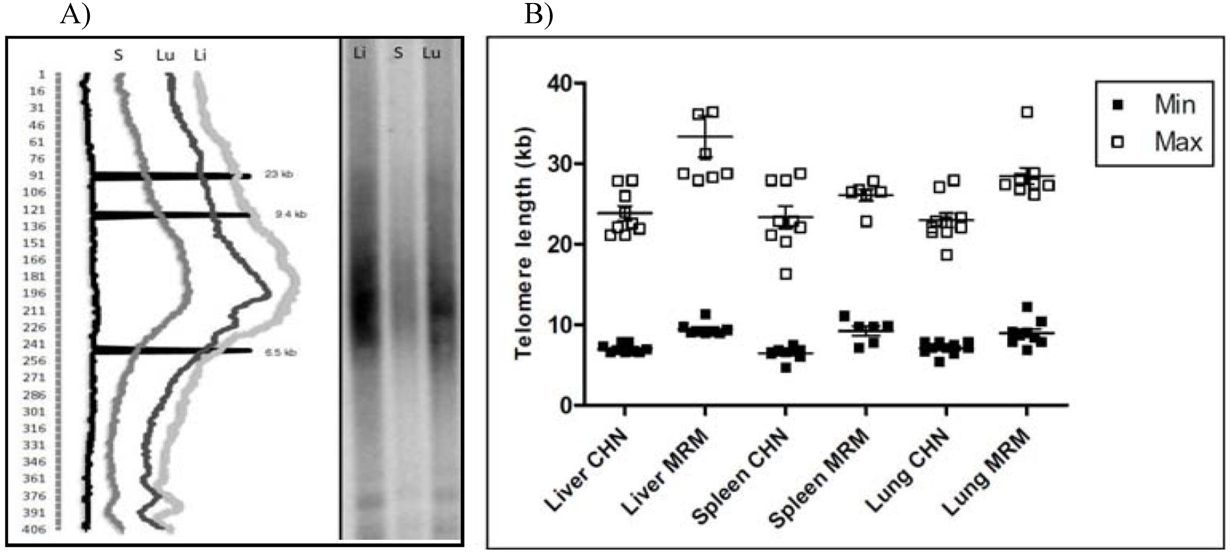 Diversity 02 01118 g003 1024