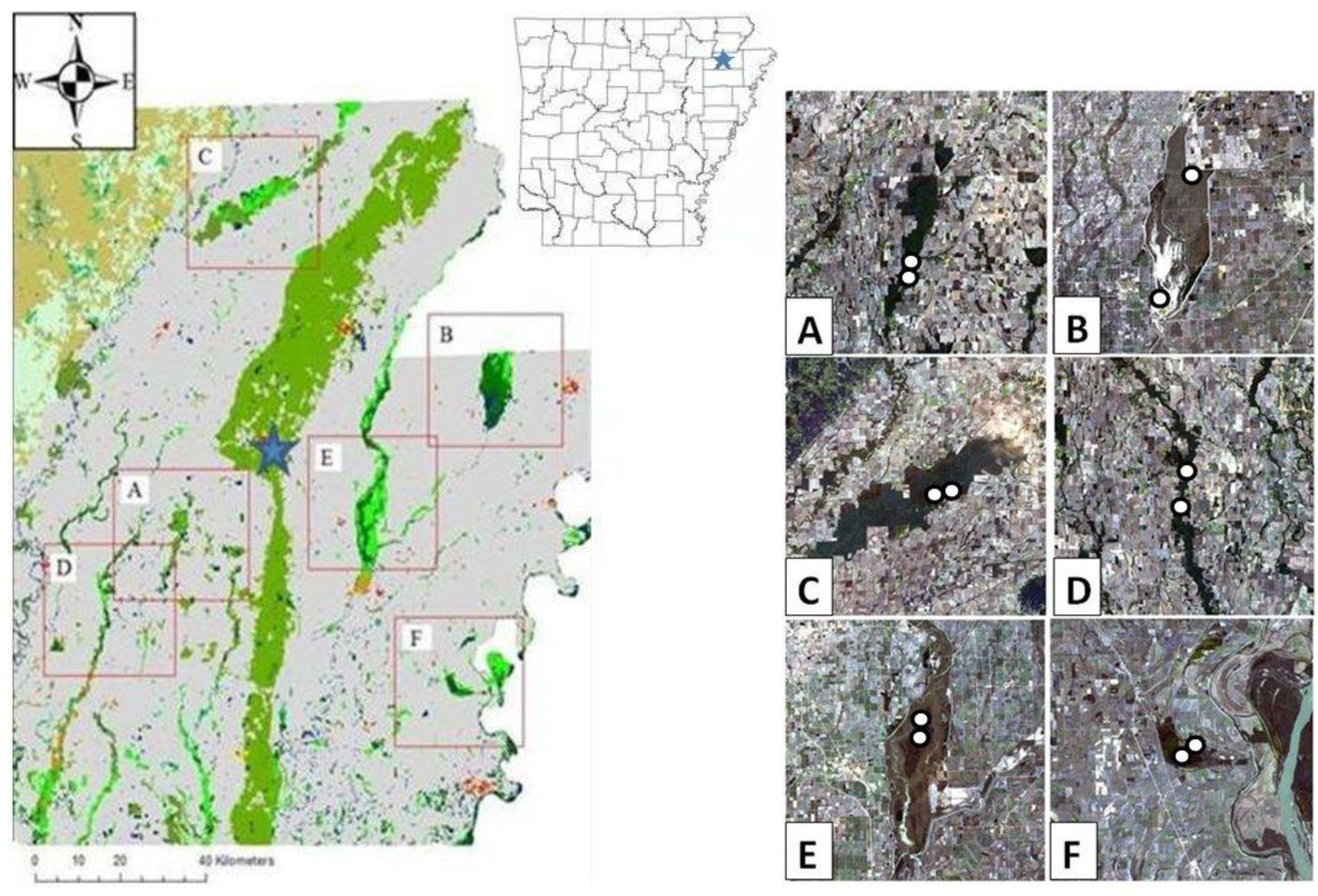 Diversity 02 01146 g001