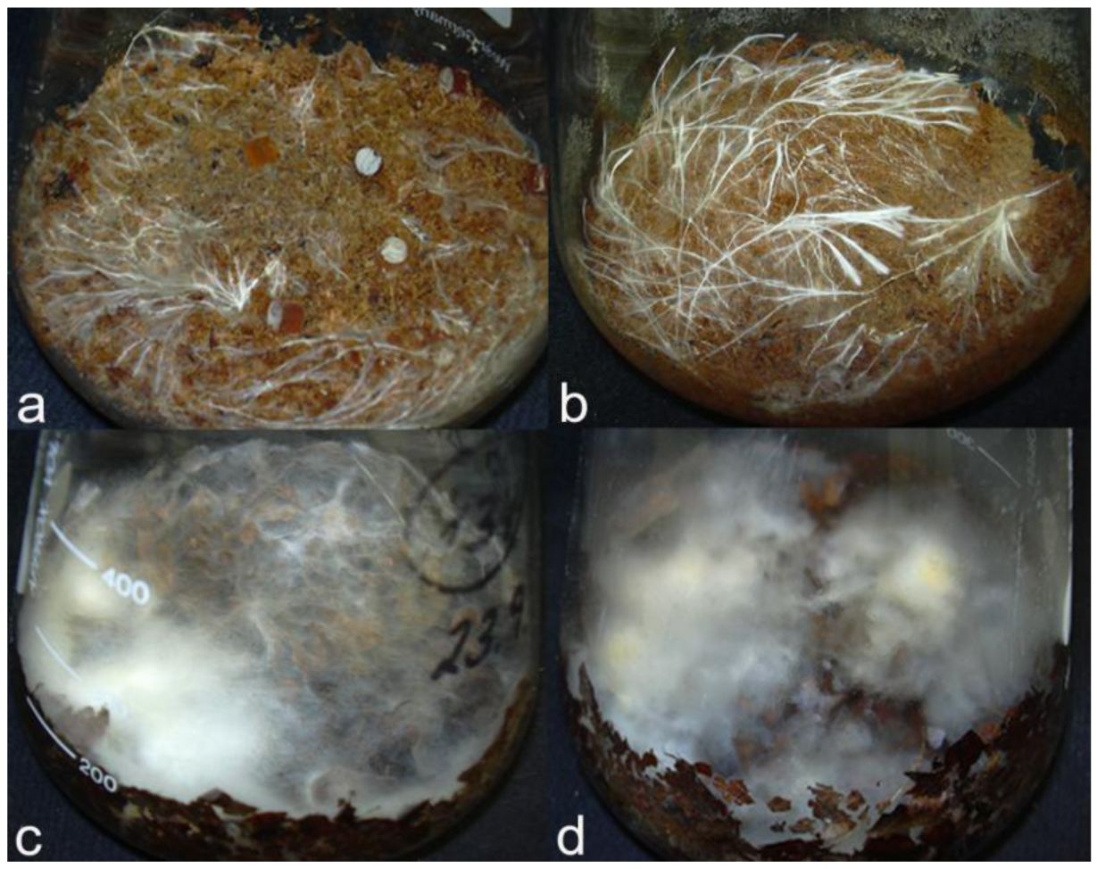 Diversity 03 00136f10 1024