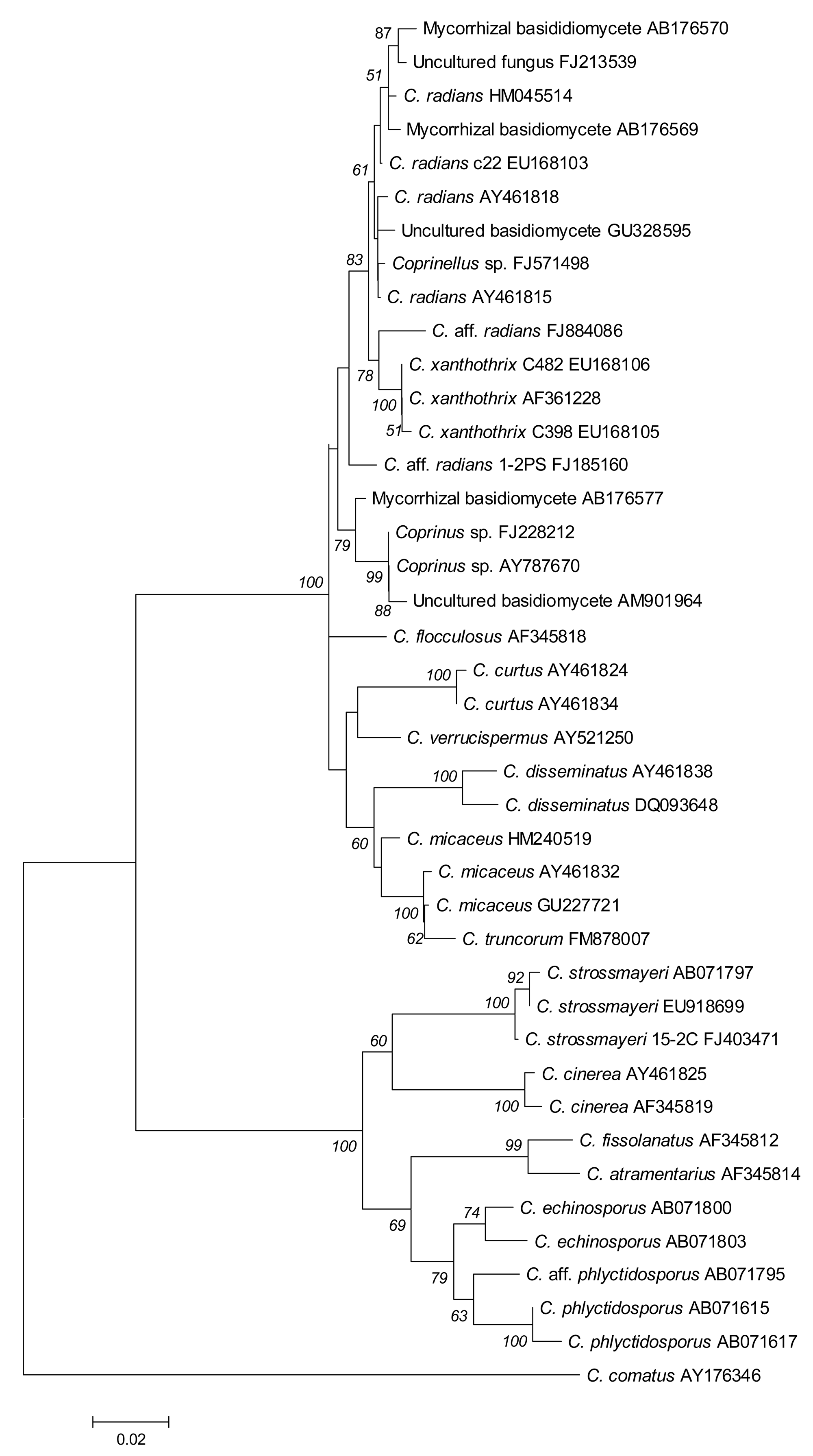 Diversity 03 00136f3 1024