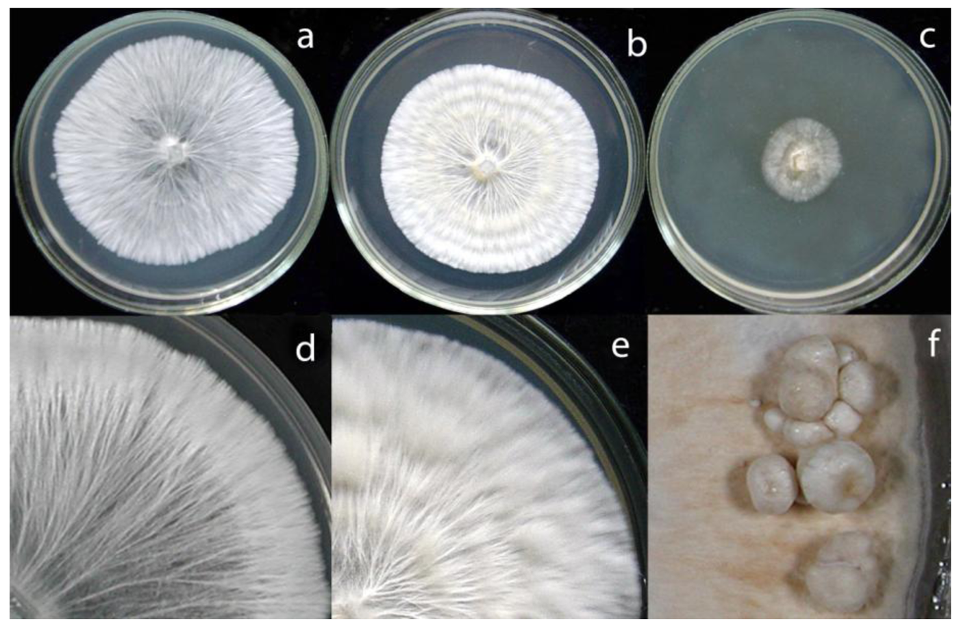 Diversity 03 00136f5 1024