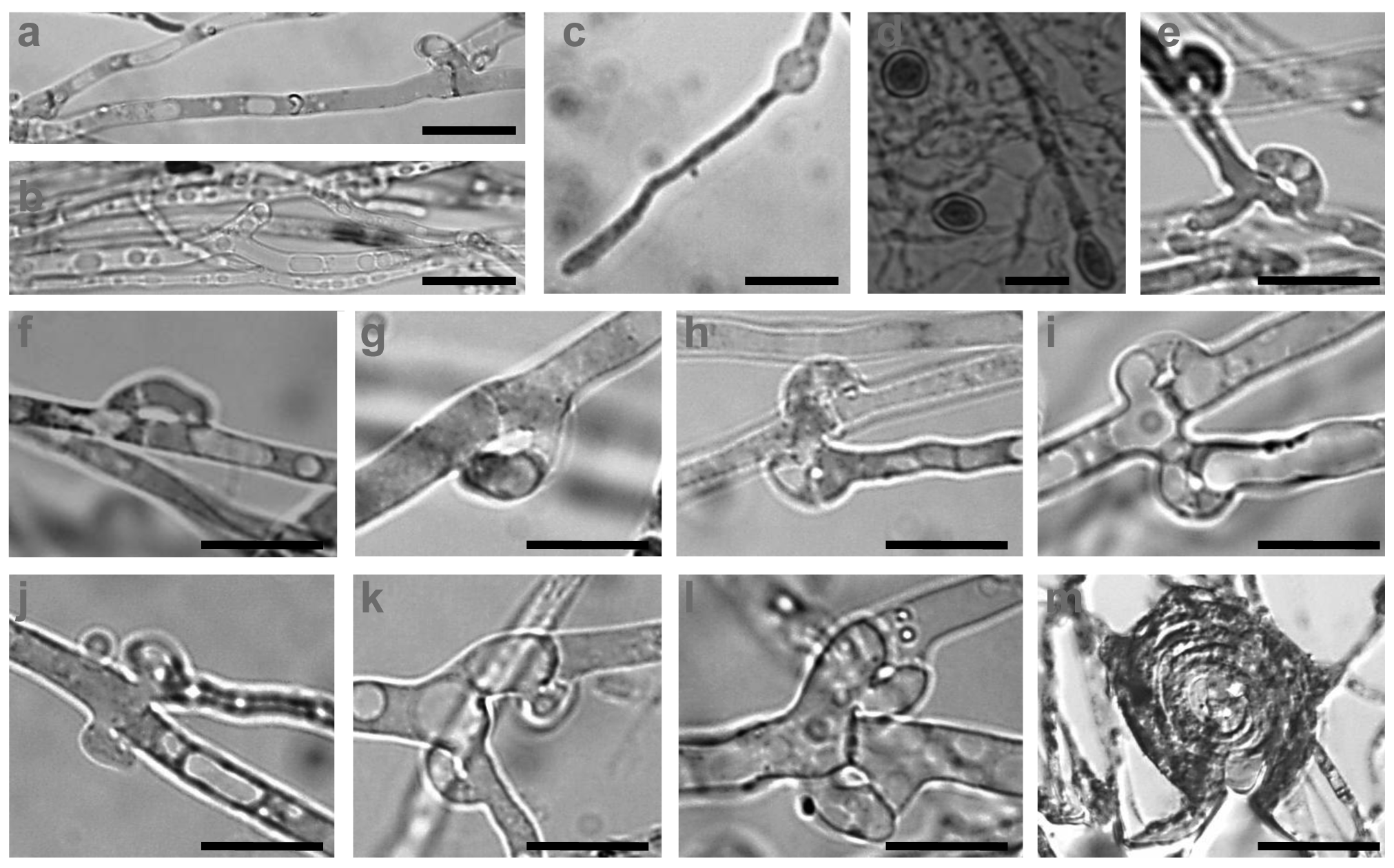 Diversity 03 00136f6 1024