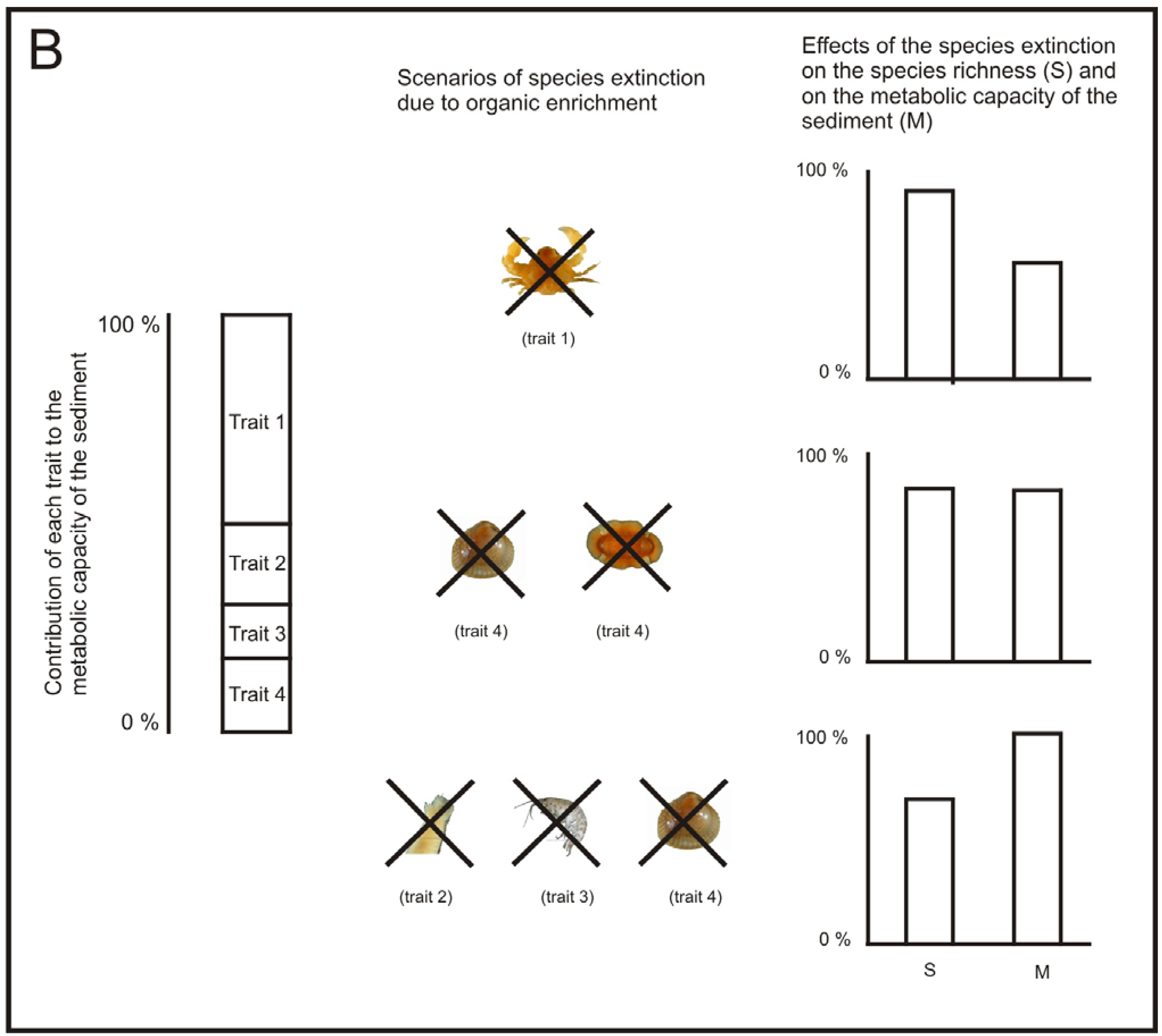 Diversity 03 00176f4b 1024