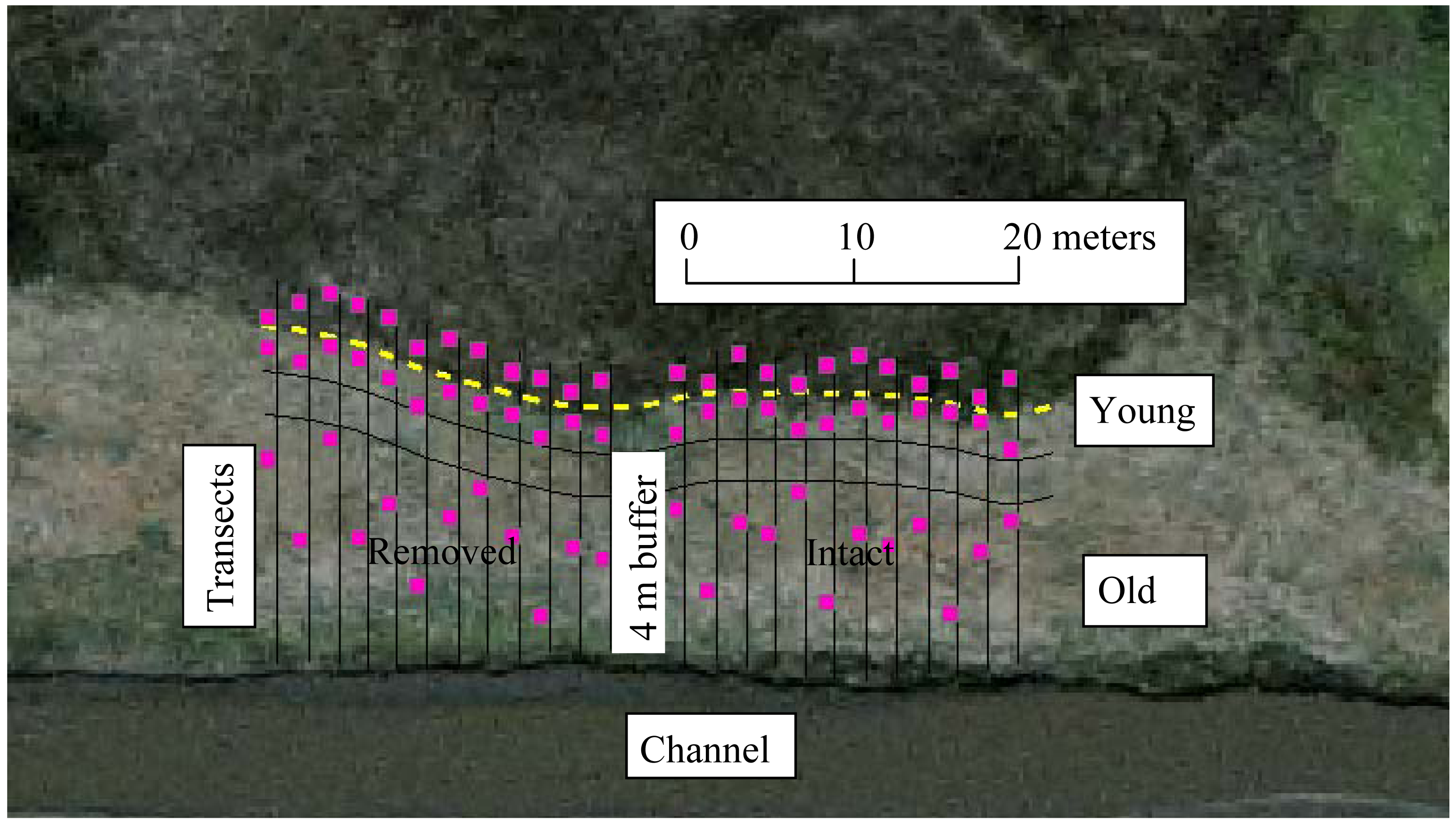 Diversity 03 00235f2 1024